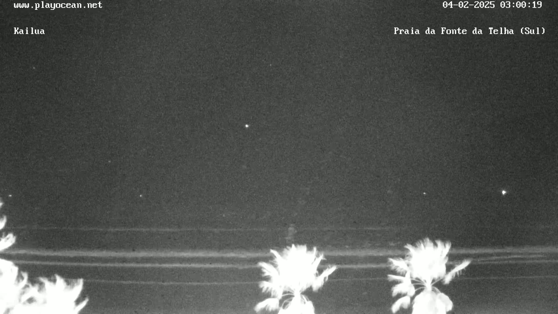A nighttime view of a beach with palm trees in the foreground under a clear, dark sky.