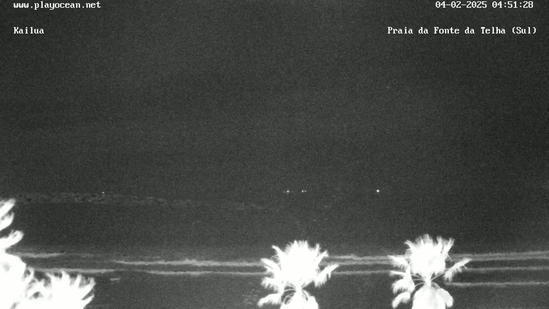 A nighttime, low-light view of a beach with palm trees in the foreground and a dark, overcast sky.