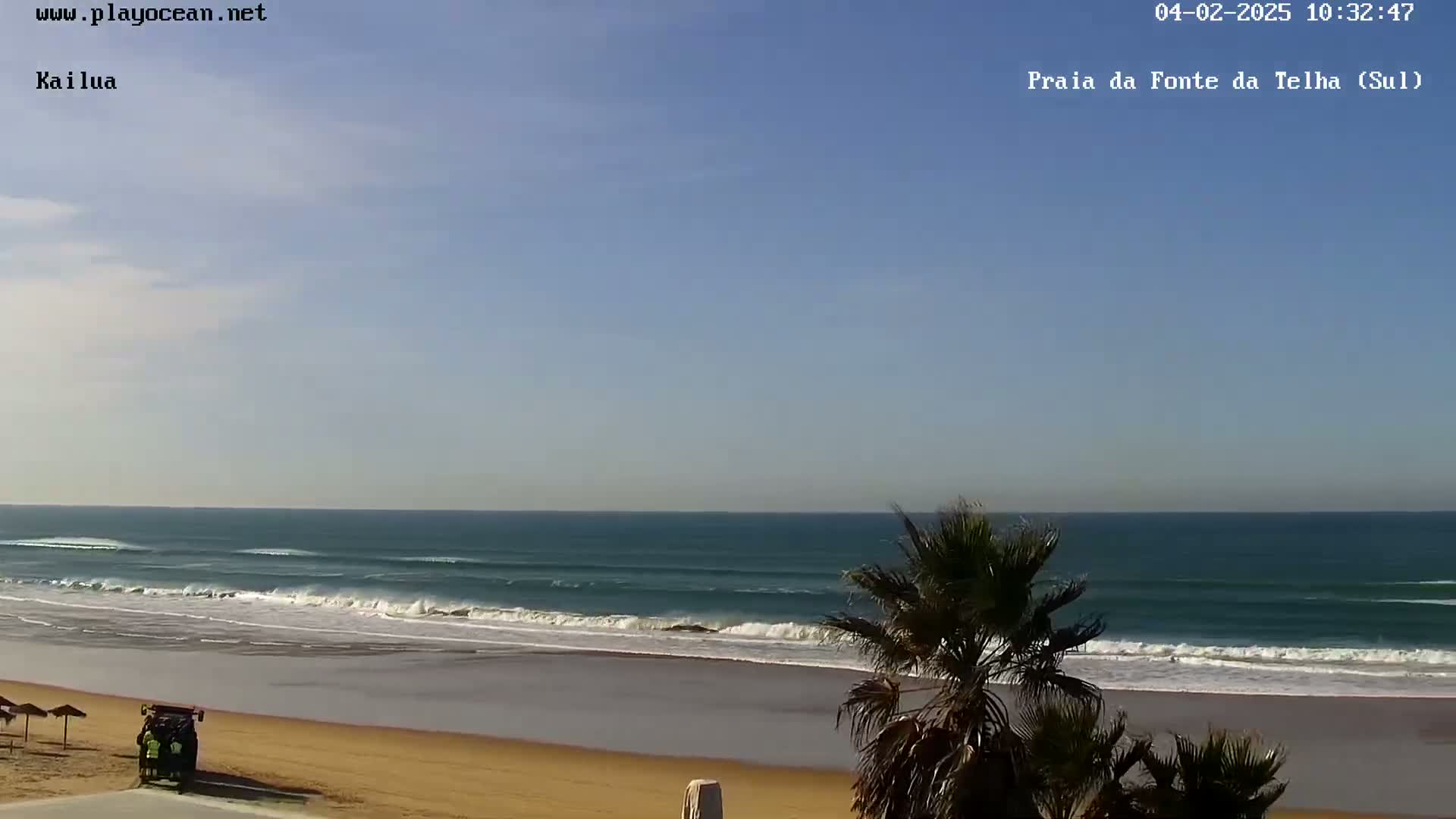 A sandy beach with gentle waves under a mostly clear sky is partially obscured by palm trees in the foreground.