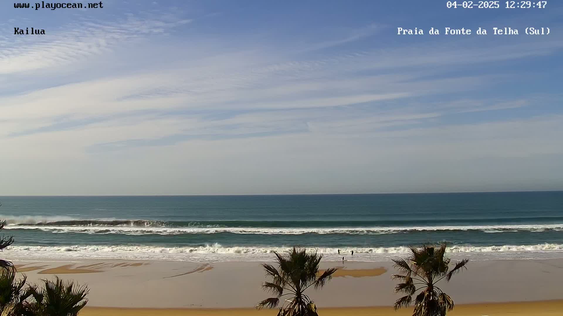 A mostly sunny day shows a wide sandy beach with a few people, palm trees in the foreground, and gentle waves rolling onto the shore.