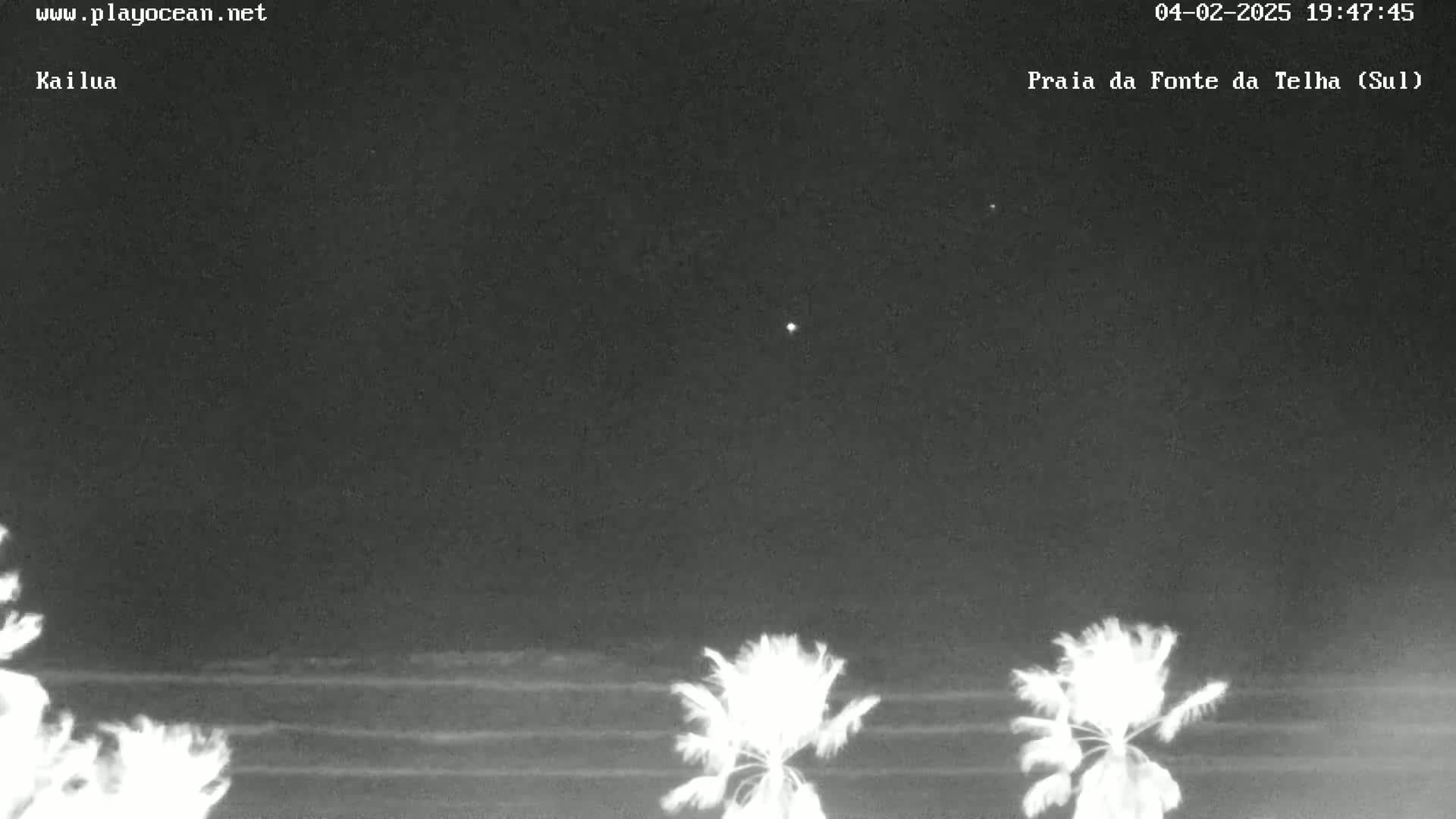 A nighttime view of a beach with palm trees under a clear, dark sky showing stars.