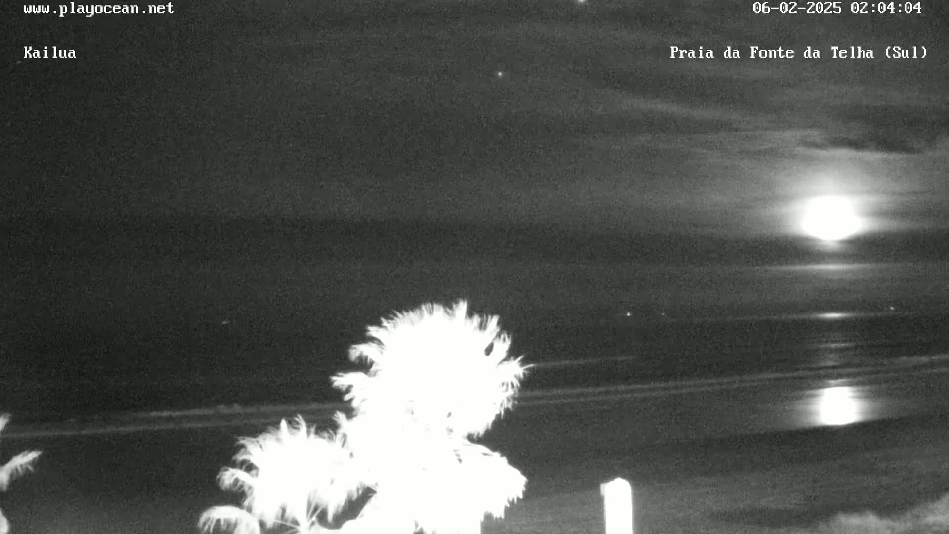 A nighttime beach scene under a bright moon, with palm trees in the foreground and a calm ocean in the background.
