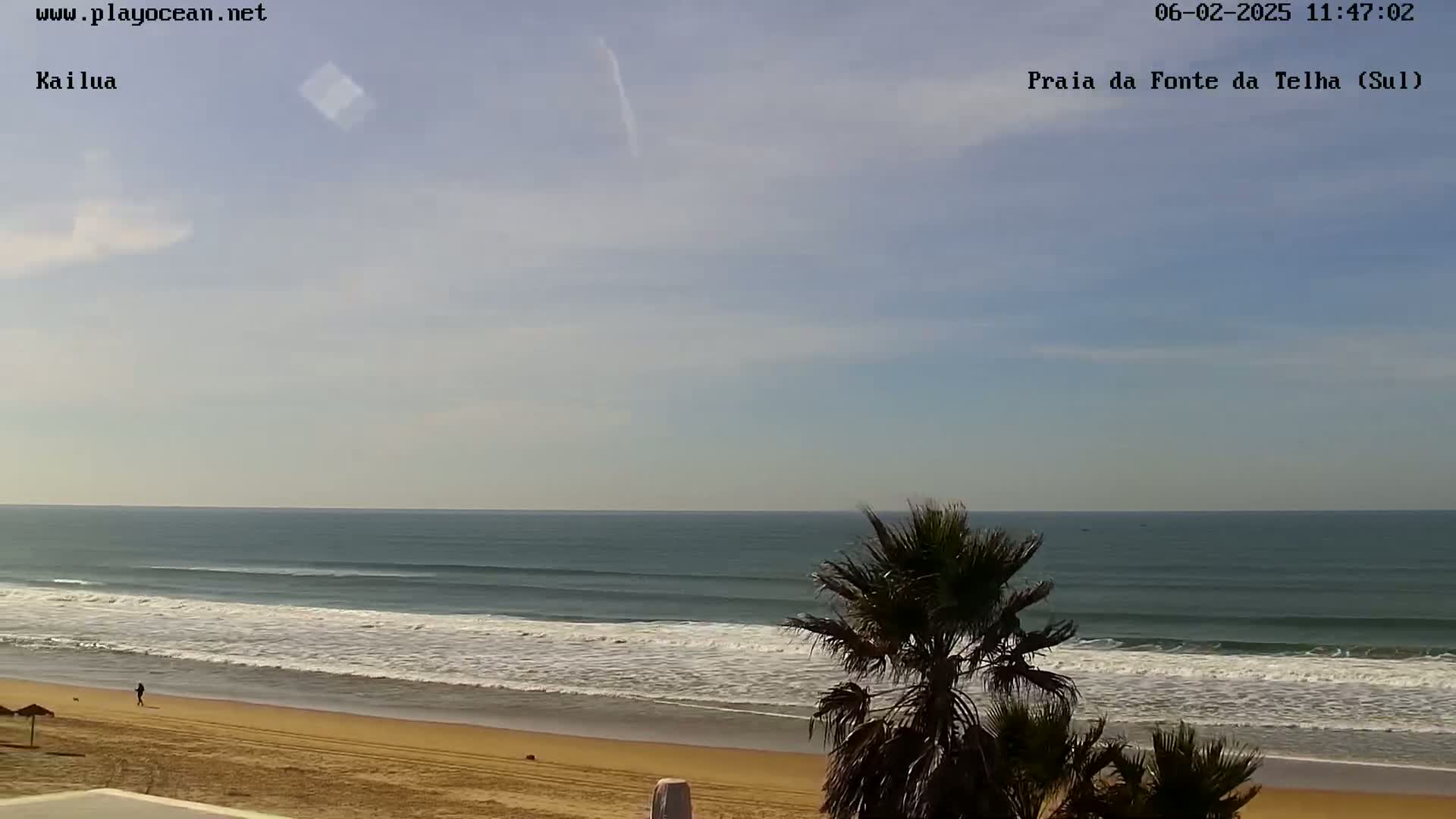 A mostly sunny day at a beach shows gentle waves lapping a sandy shore, with a person walking along the beach and palm trees in the foreground.