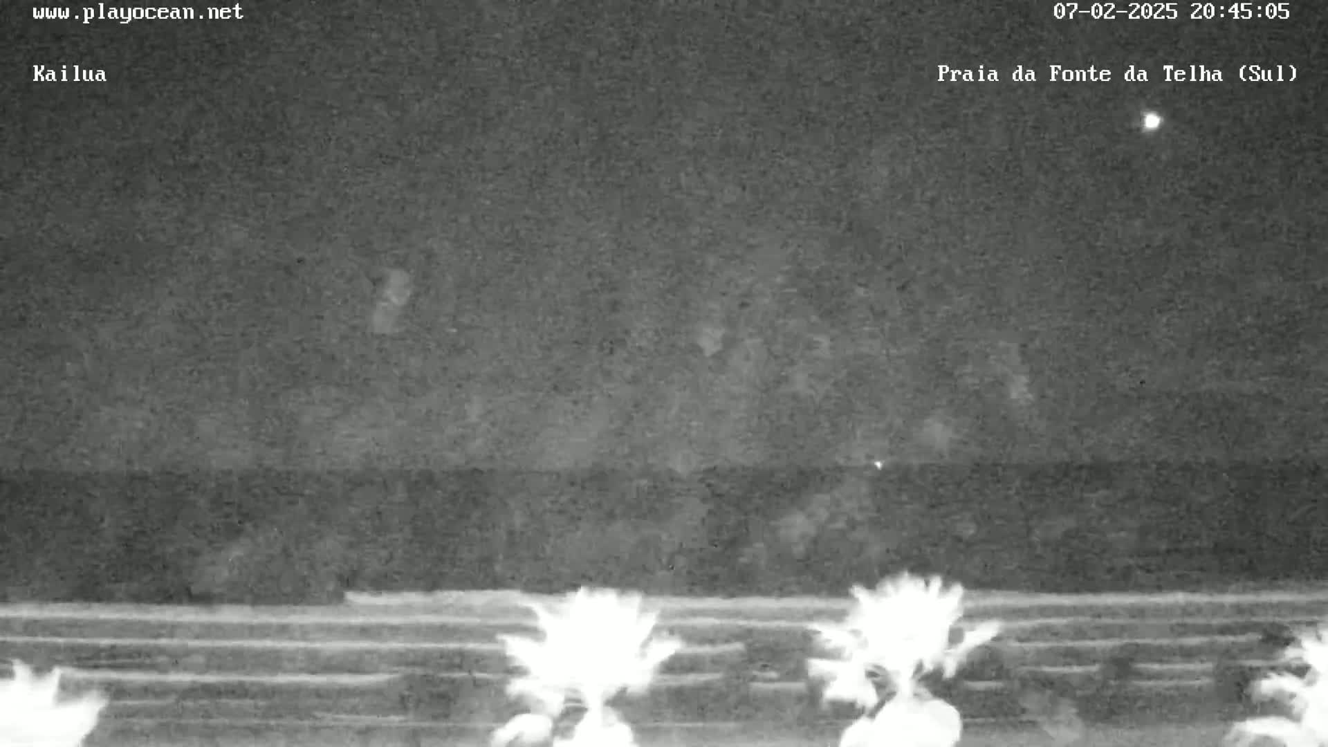 A nighttime, low-light view of a beach with palm trees in the foreground under a clear sky.
