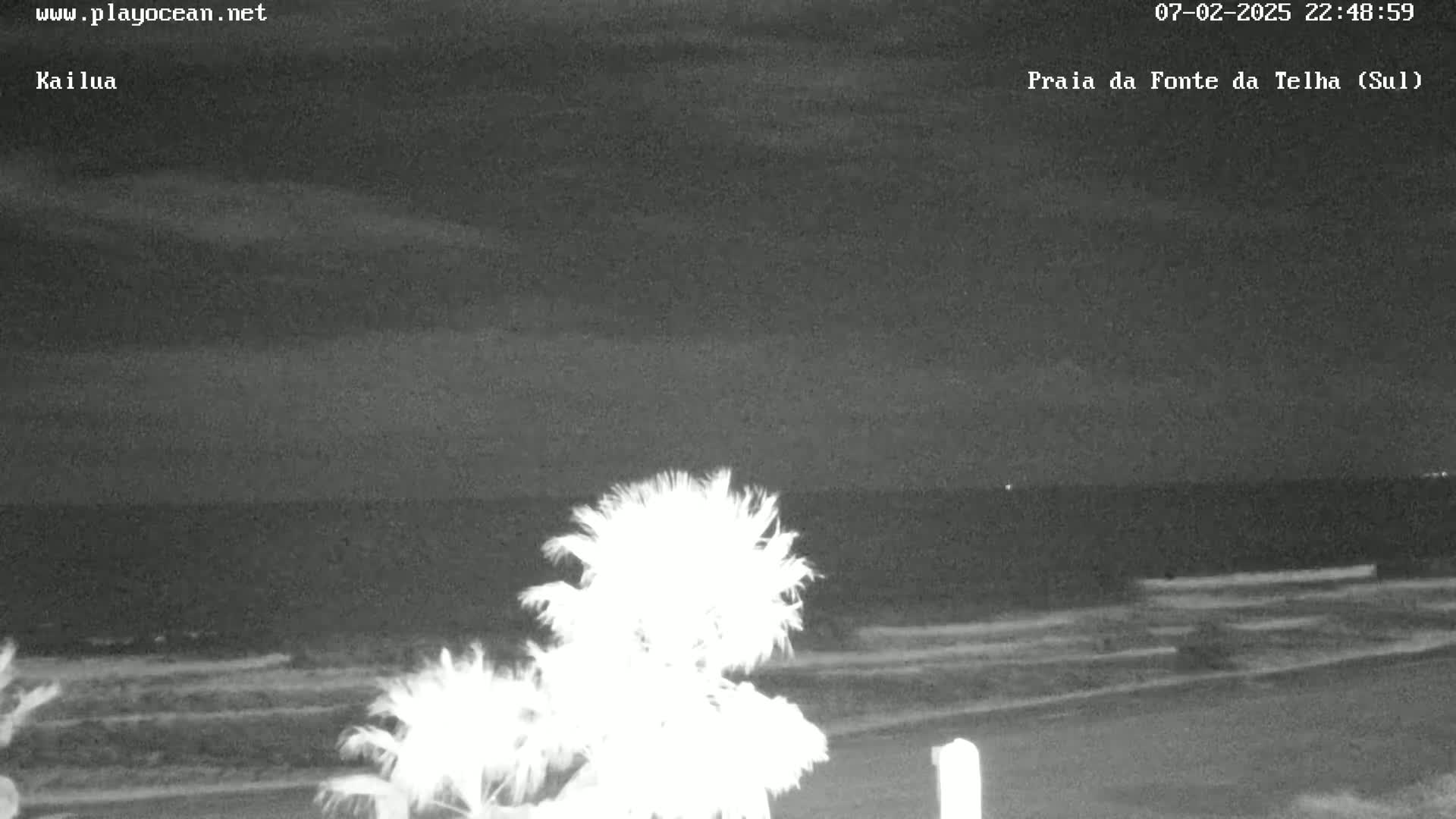 A nighttime, low-light view of a beach with palm trees in the foreground and a dark ocean under a cloudy sky.