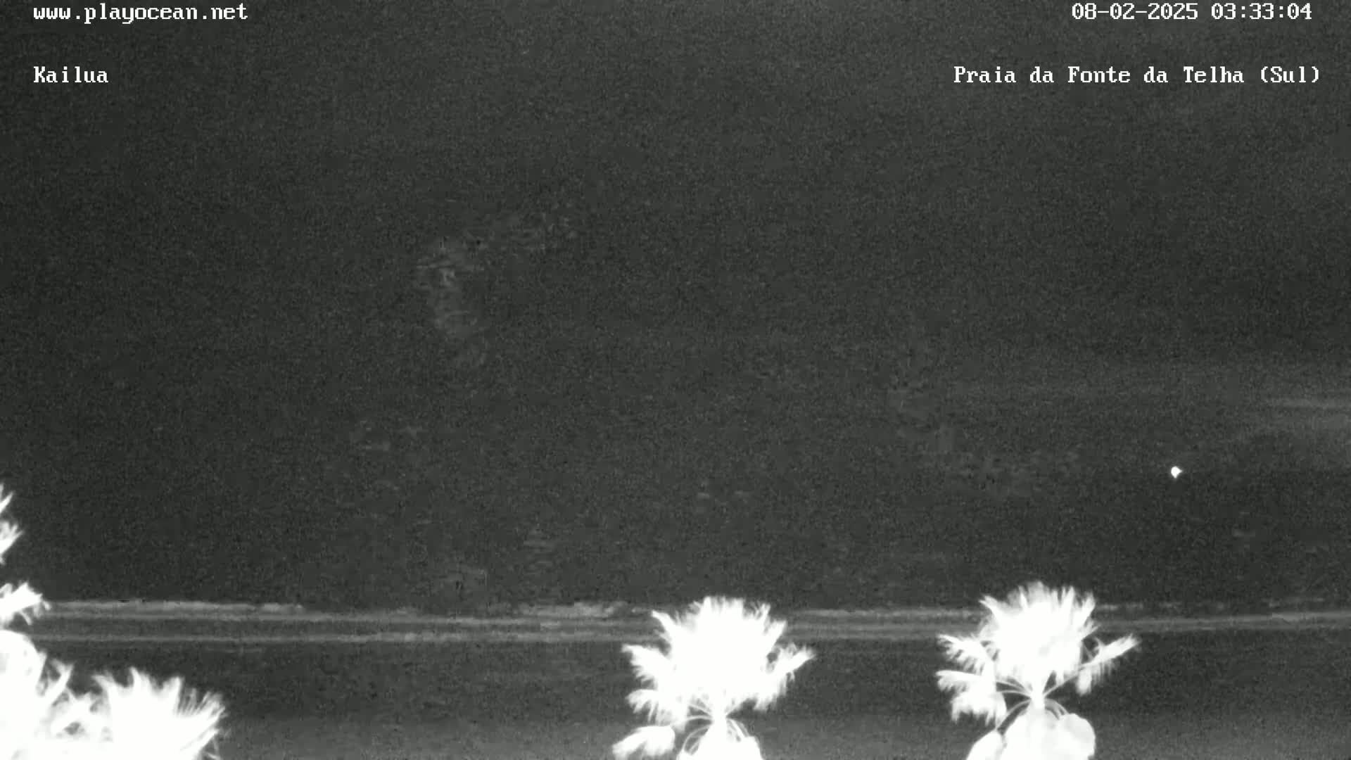A nighttime beach scene shows a dark ocean and dark land with a few palm trees in the foreground.