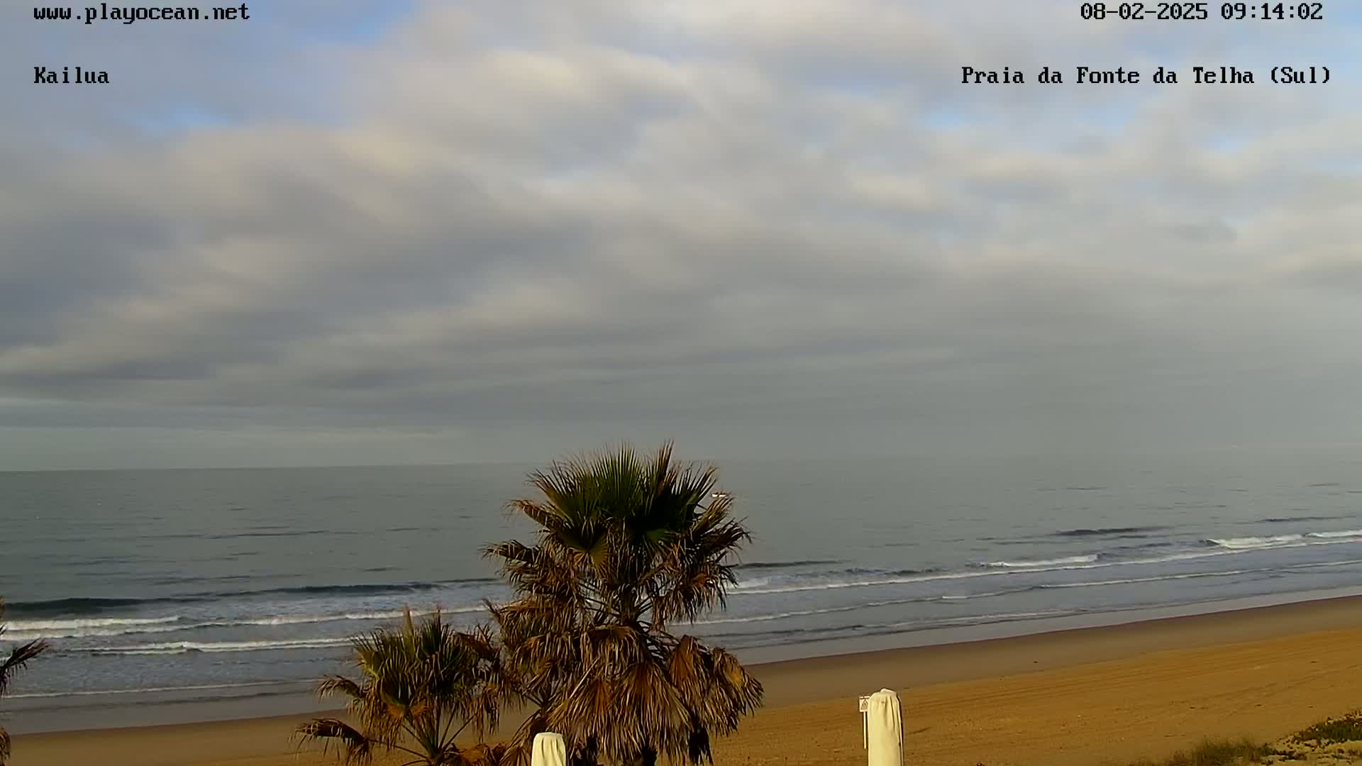 A sandy beach with gentle waves and palm trees under a mostly cloudy sky.