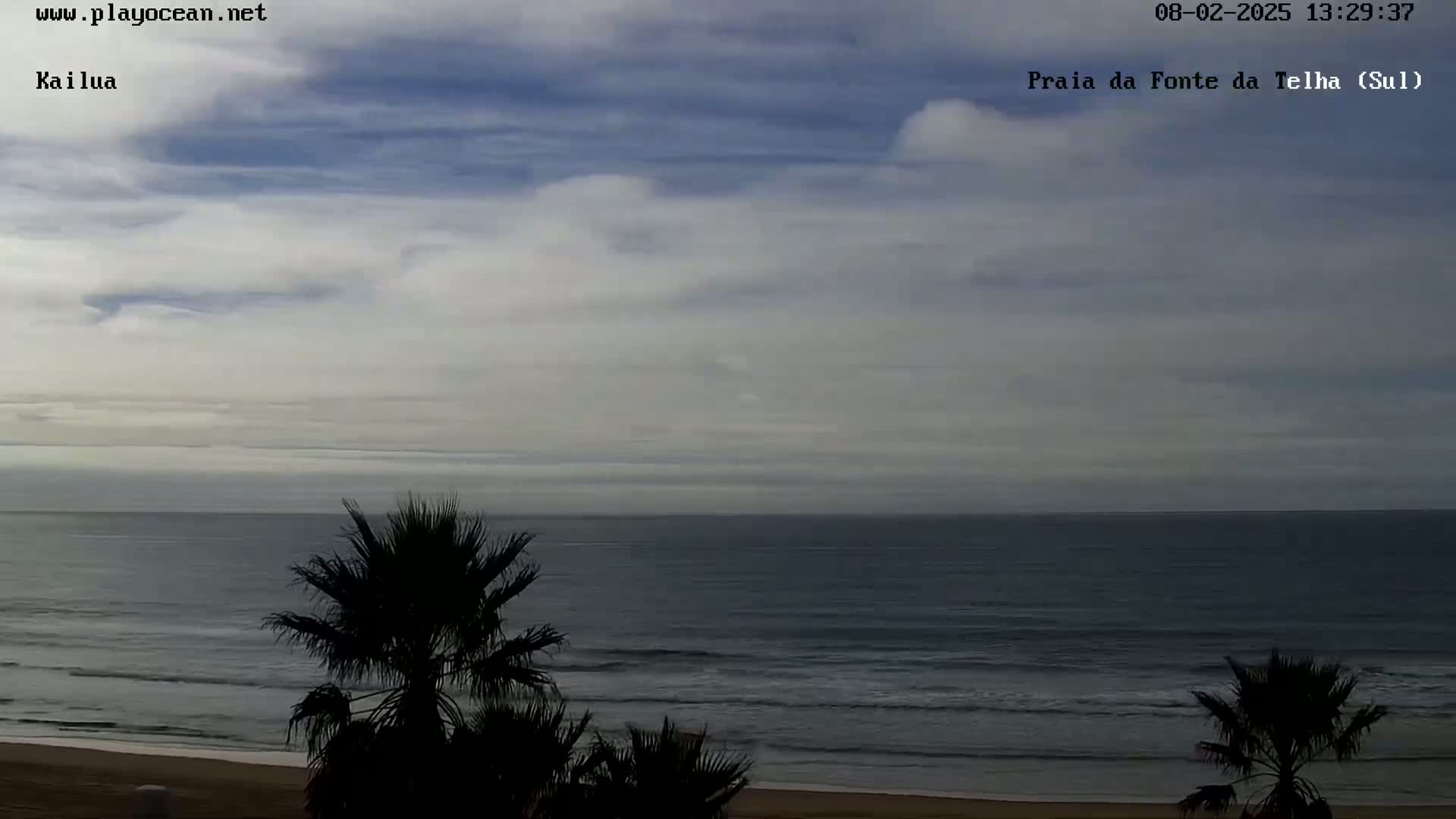 A mostly cloudy sky overlooks a calm ocean with small waves lapping a sandy beach, partially obscured by silhouetted palm trees in the foreground.