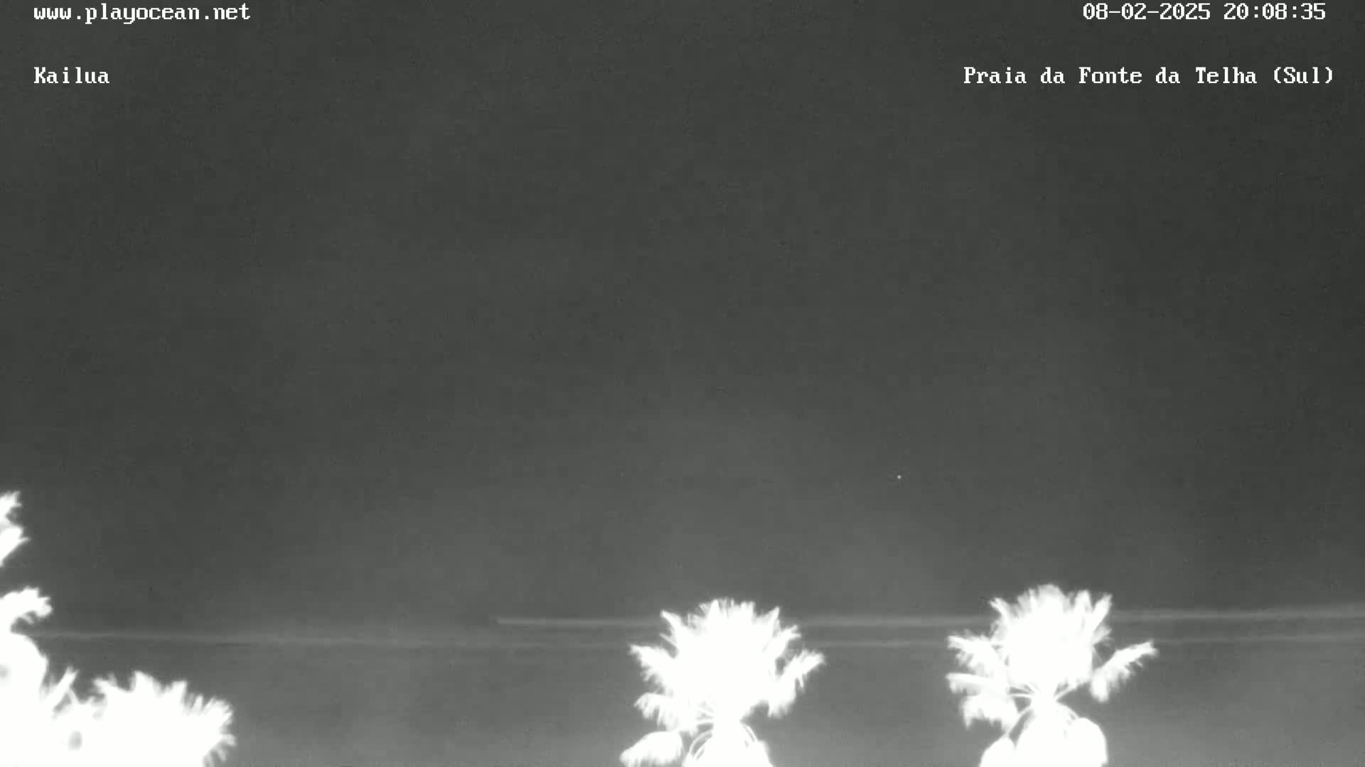 A nighttime, low-light view of a beach with several palm trees in the foreground and a dark ocean in the background.