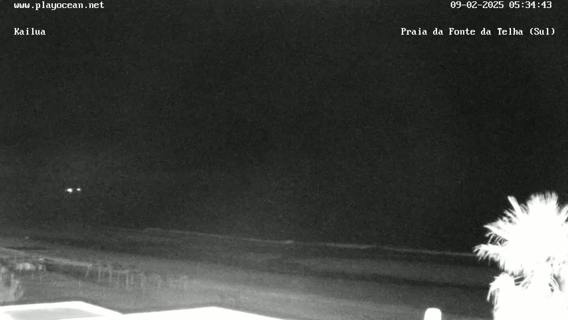 A nighttime, low-light view of a dark beach with a calm ocean and a palm tree in the lower right corner.