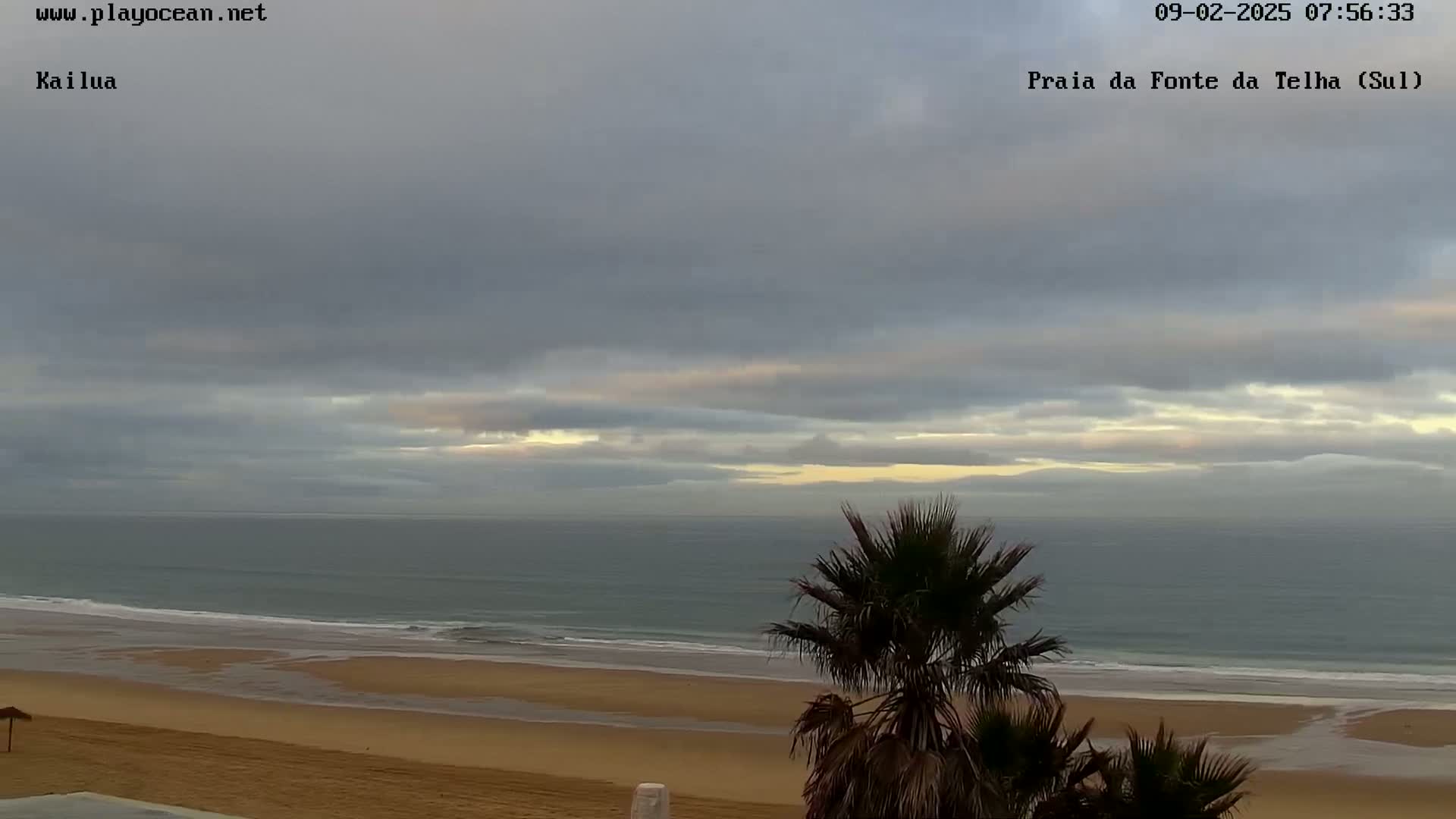 A mostly cloudy sky overlooks a calm ocean meeting a sandy beach, with a palm tree in the foreground.