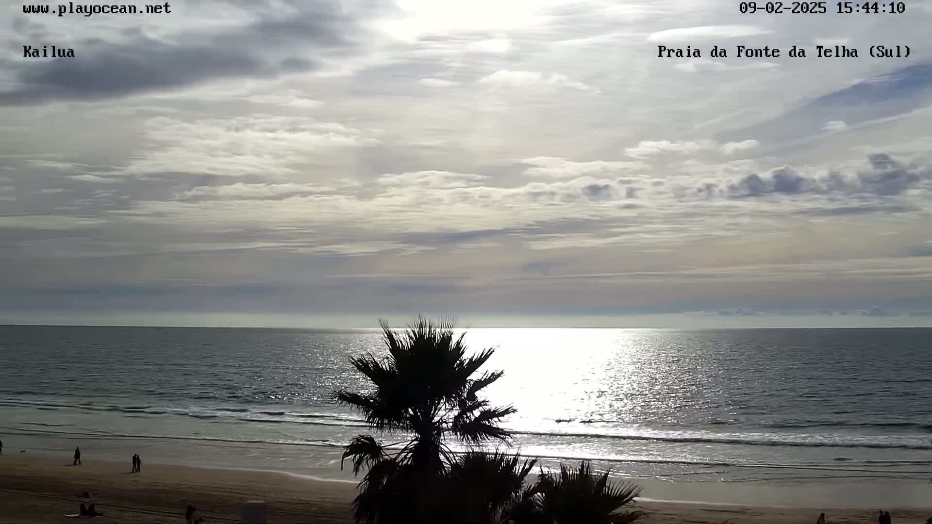 A mostly cloudy sky over a calm ocean beach with palm trees in the foreground.