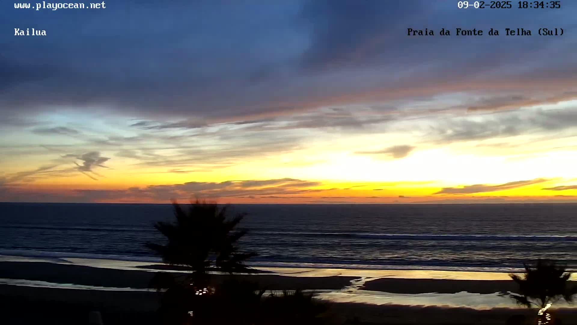 A vibrant sunset over a dark ocean beach, with palm trees silhouetted in the foreground.