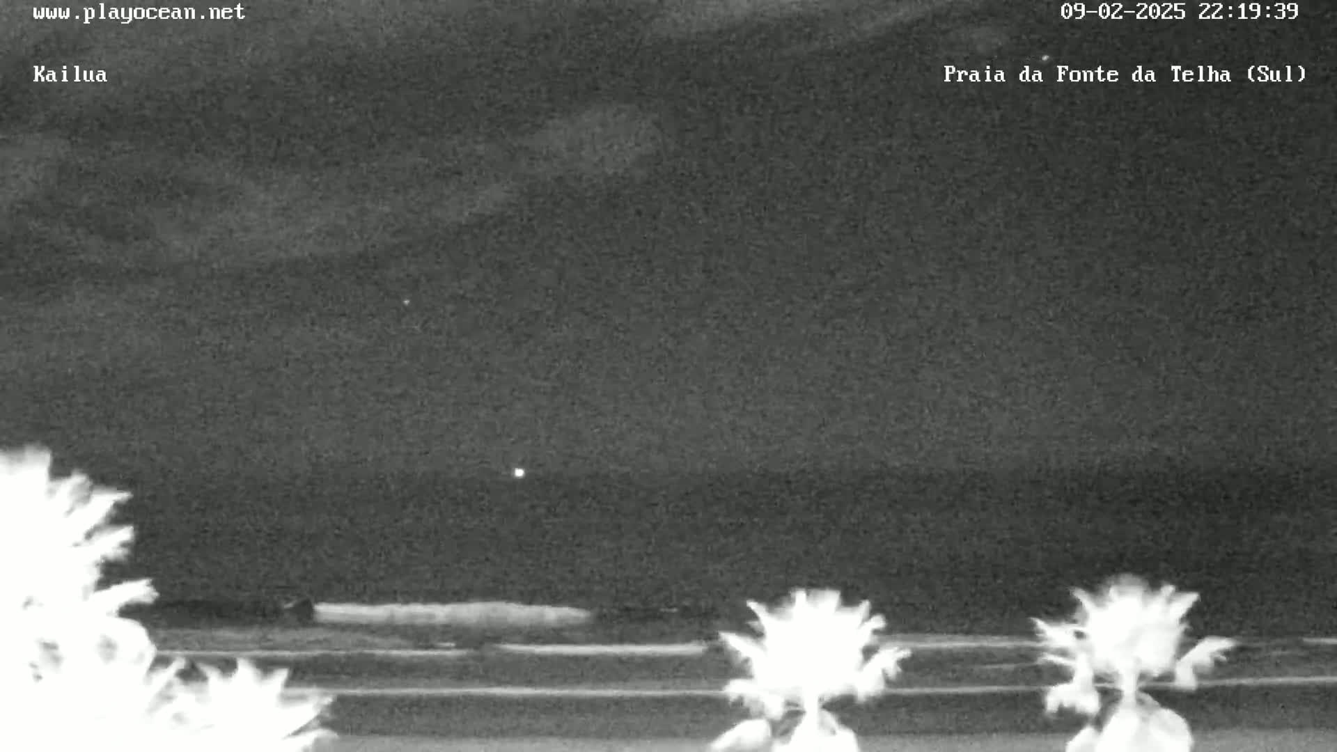 A nighttime, overcast view of a beach with several palm trees in the foreground.