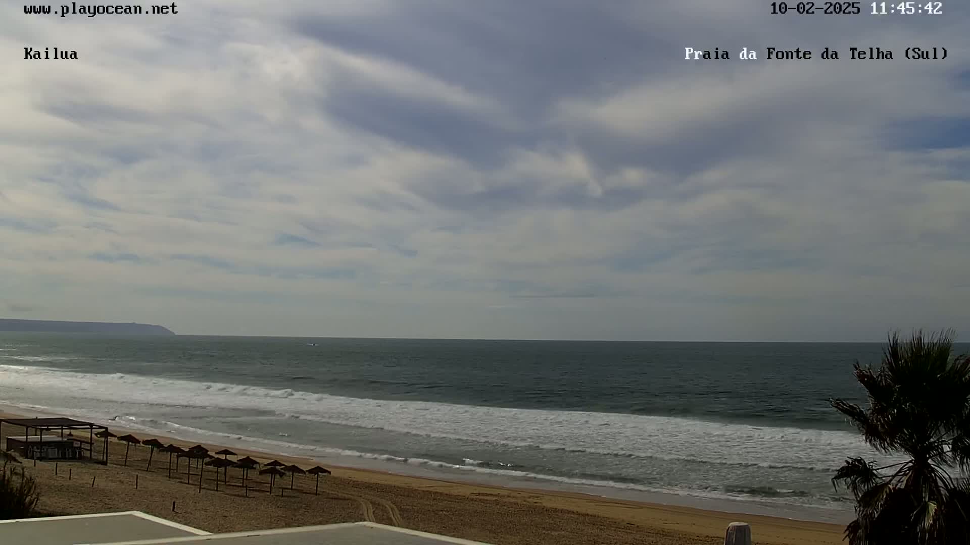 A mostly cloudy day shows an ocean beach with small waves lapping the shore, several closed umbrellas on the sand, and a palm tree in the lower right corner.