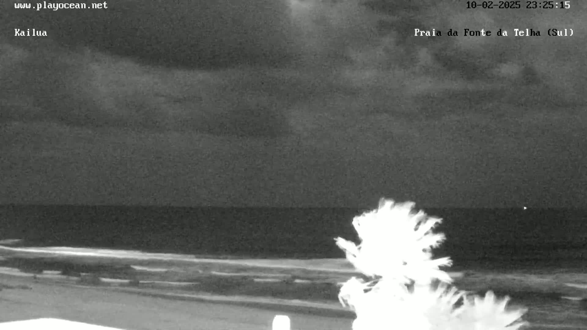 A nighttime beach scene shows a dark ocean under a cloudy sky, with a palm tree in the foreground.