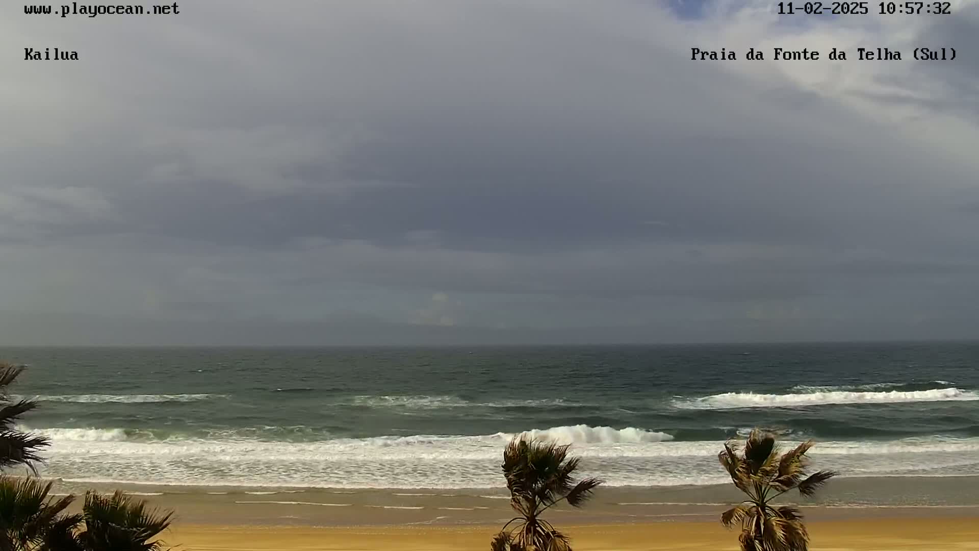 A sandy beach with palm trees in the foreground and a gray, overcast sky above a dark-green ocean with small waves.