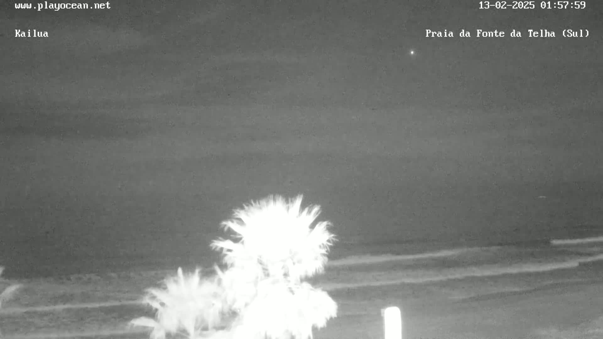 A nighttime beach scene shows gentle waves lapping the shore under a dark, clear sky, with palm trees in the foreground.