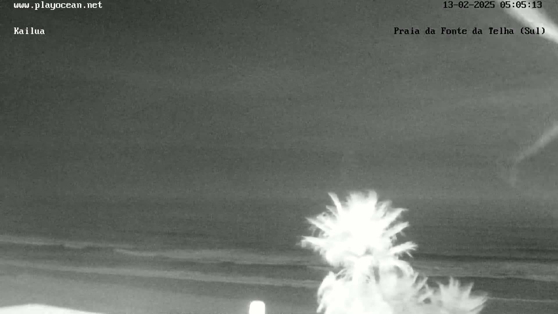 A nighttime beach scene shows a dark ocean with gentle waves under a cloudy sky, and a palm tree is visible in the foreground.