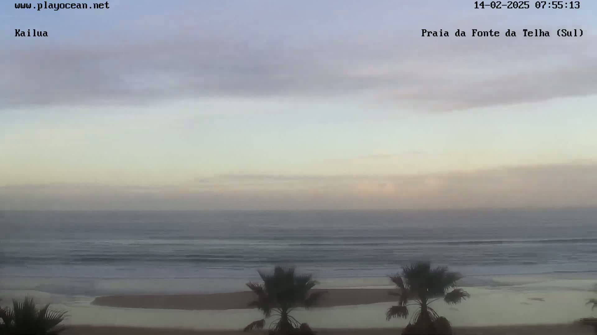 A calm ocean with small waves meets a sandy beach under a pale, cloudy sky, with a couple of palm trees in the foreground.