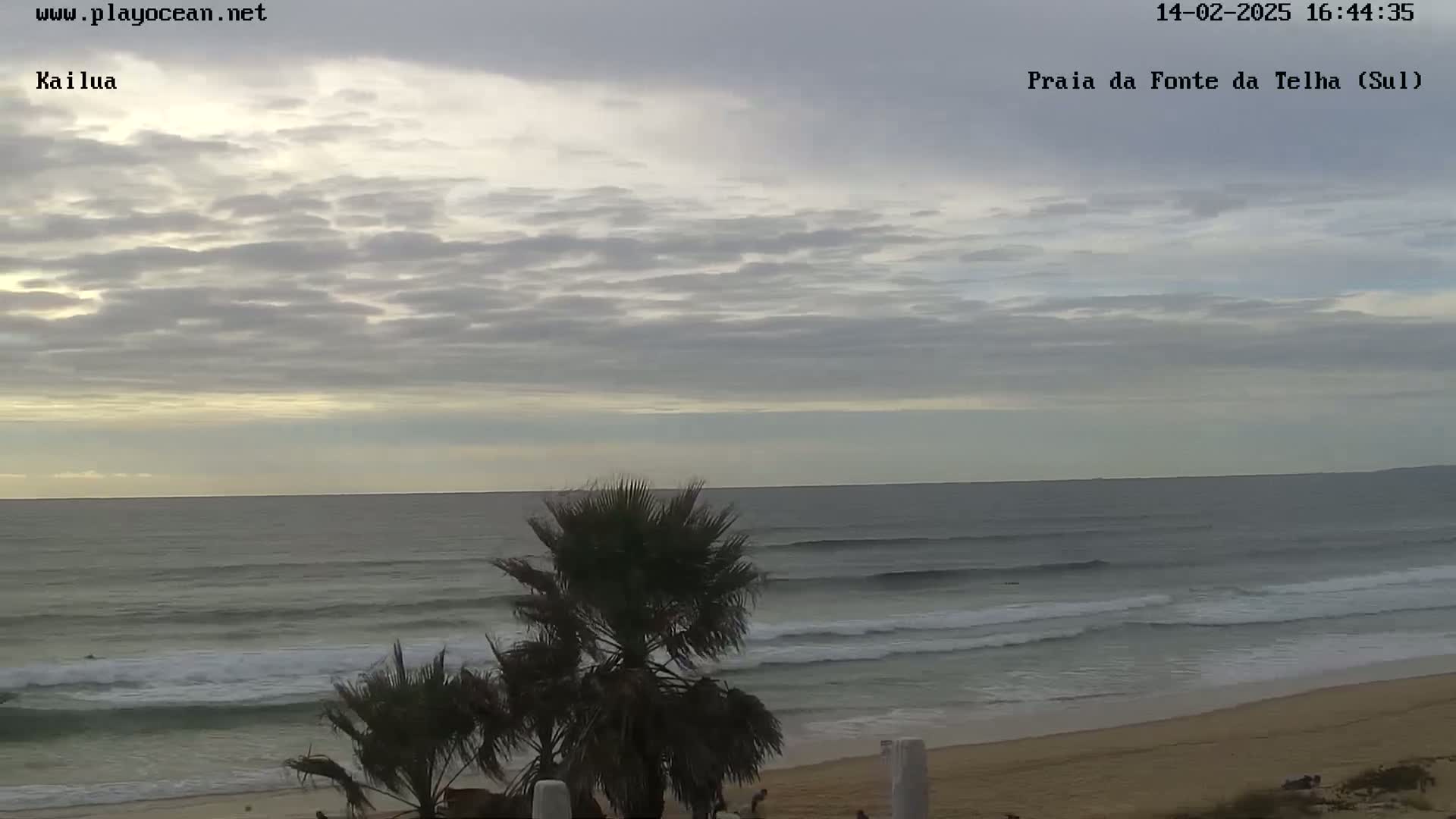 An overcast sky hangs over a sandy beach with gentle waves rolling into shore, palm trees are visible in the foreground.