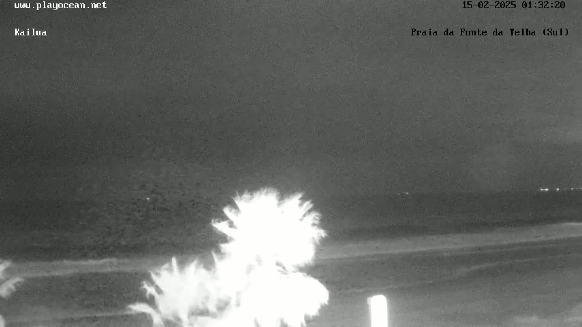 A nighttime beach scene shows brightly lit palm trees in the foreground, with a dark ocean and a faint horizon in the background.