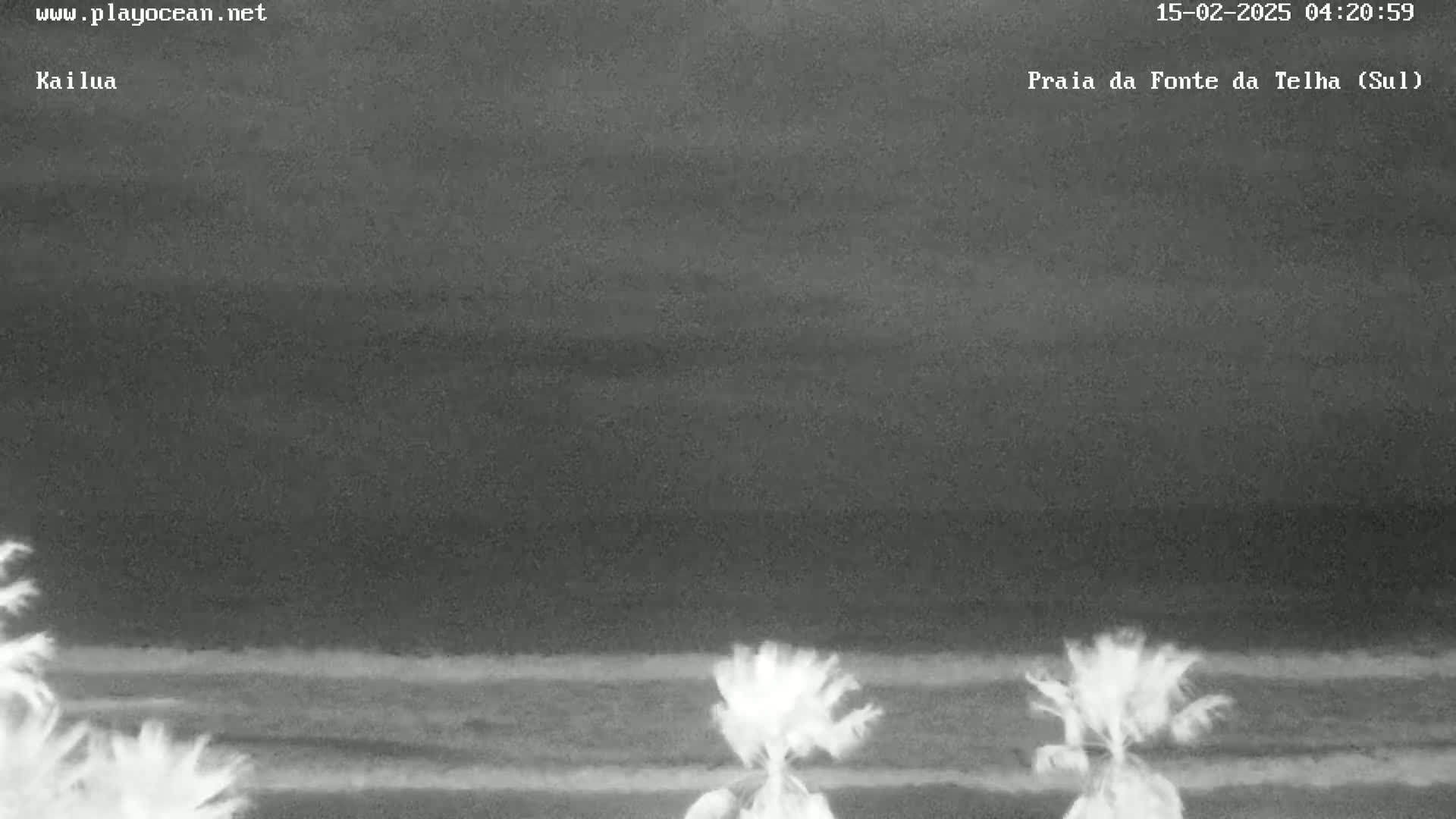 A nighttime beach scene shows a dark ocean under a dark sky with several palm trees in the foreground.