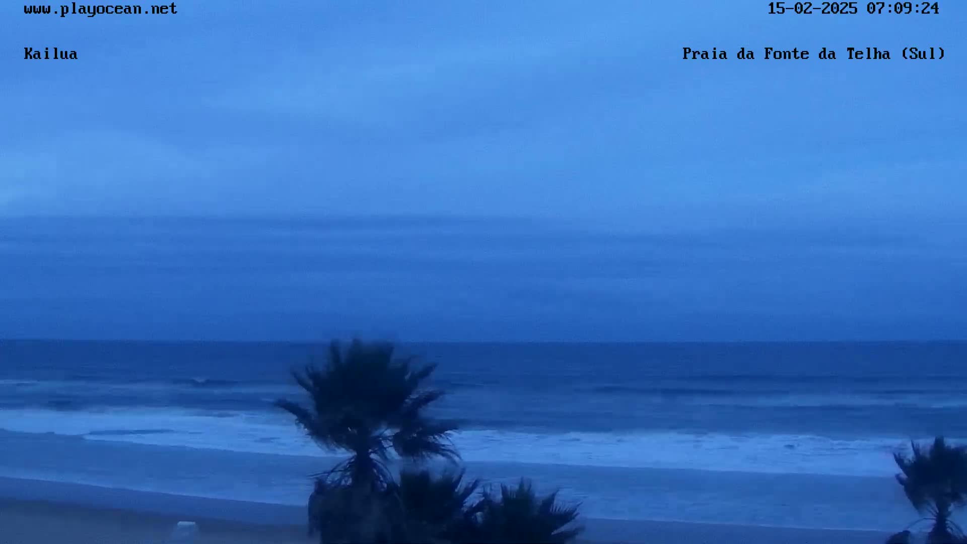 A dark blue ocean with small waves laps a sandy beach under a cloudy, dusky sky, with palm trees silhouetted in the foreground.