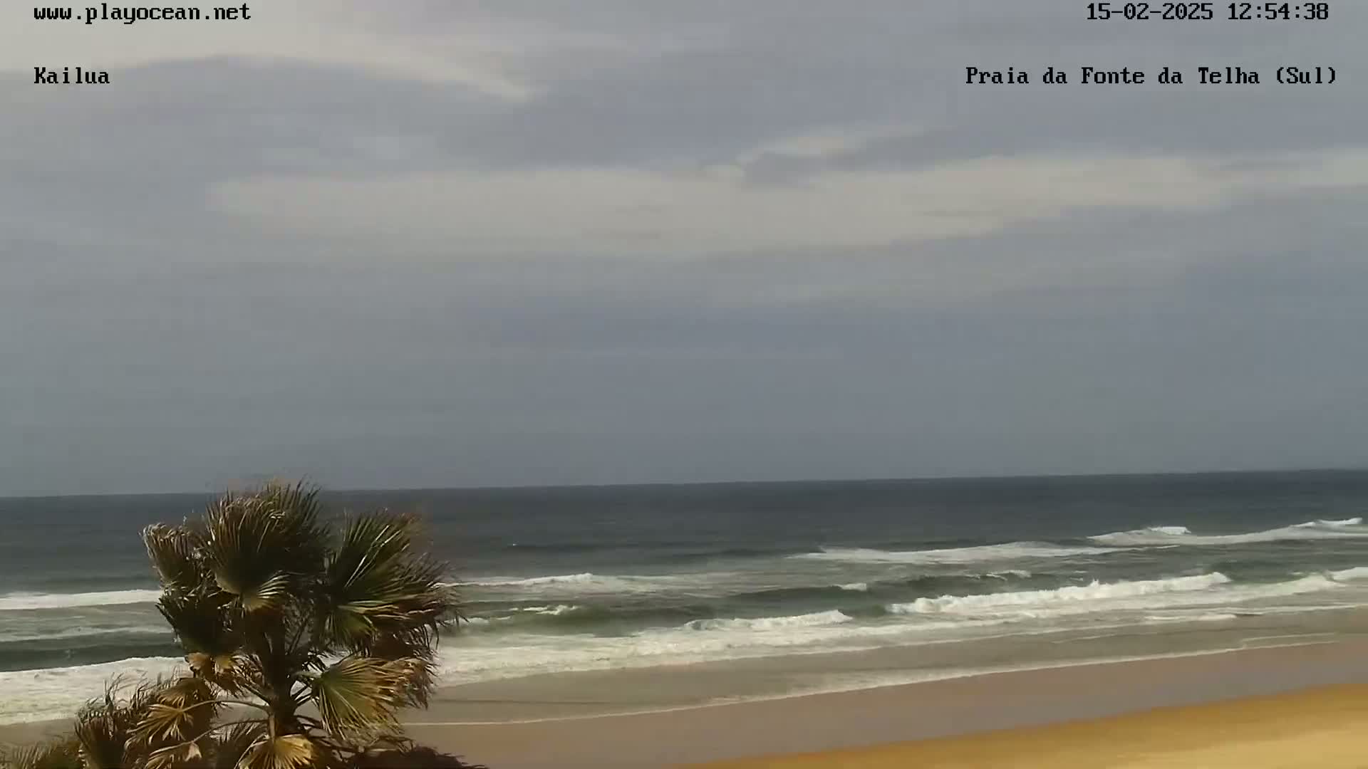 A sandy beach with gentle waves under a mostly cloudy sky, partially obscured by a palm tree in the foreground.