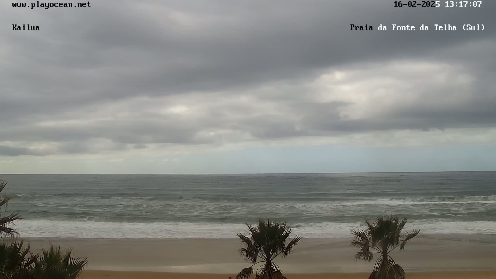 Under a cloudy sky, a wide sandy beach meets a gray ocean with small waves, partially obscured by palm trees in the foreground.