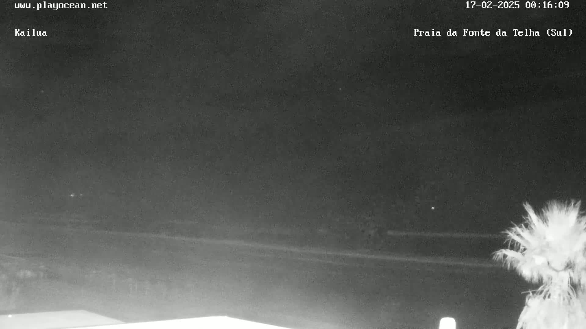 A nighttime, low-light view of a beach and ocean, with a palm tree visible in the bottom right corner.