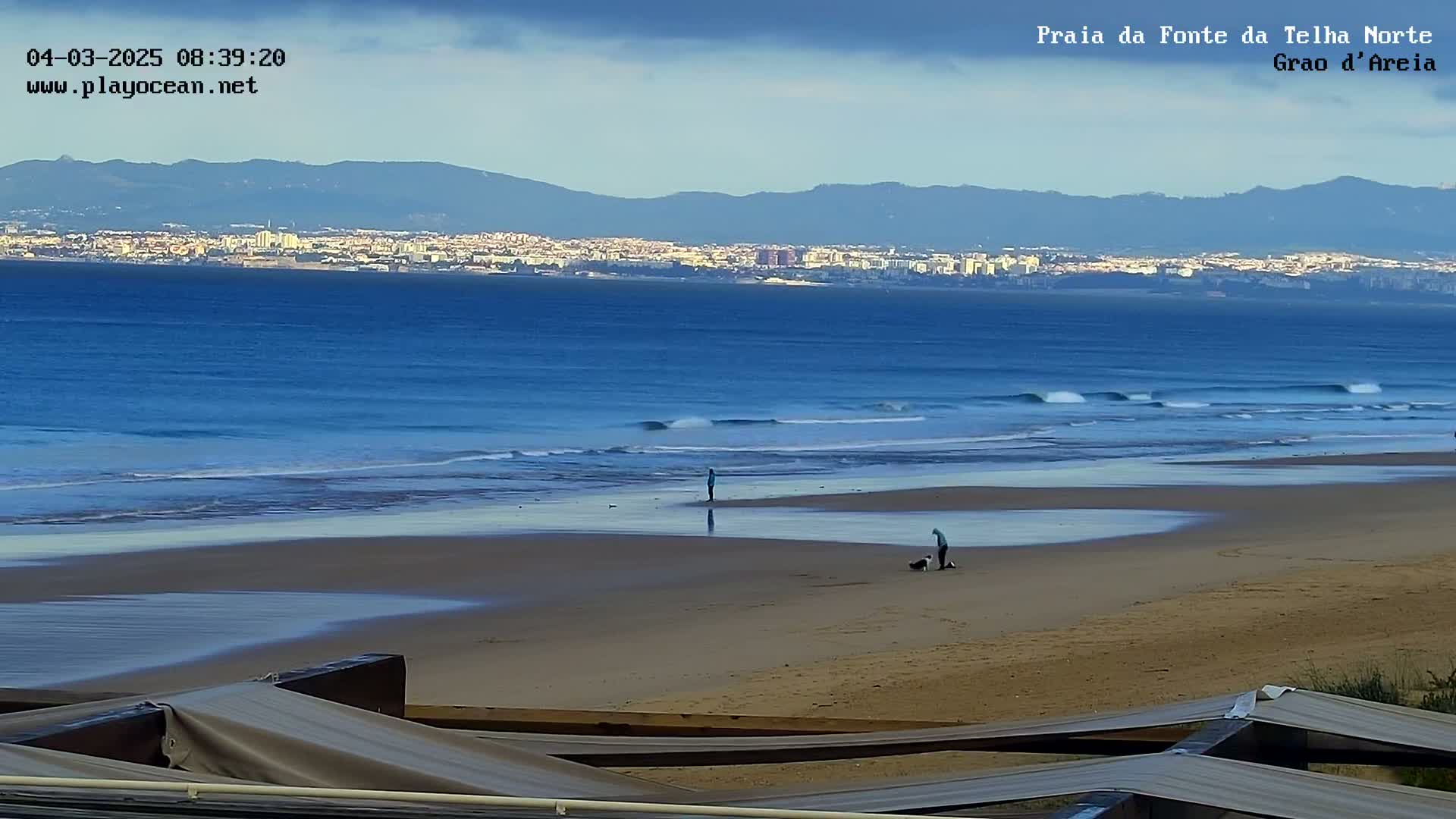 A mostly cloudy day shows a sandy beach with a few people and dogs, gentle waves lapping the shore, and a distant cityscape backed by mountains.