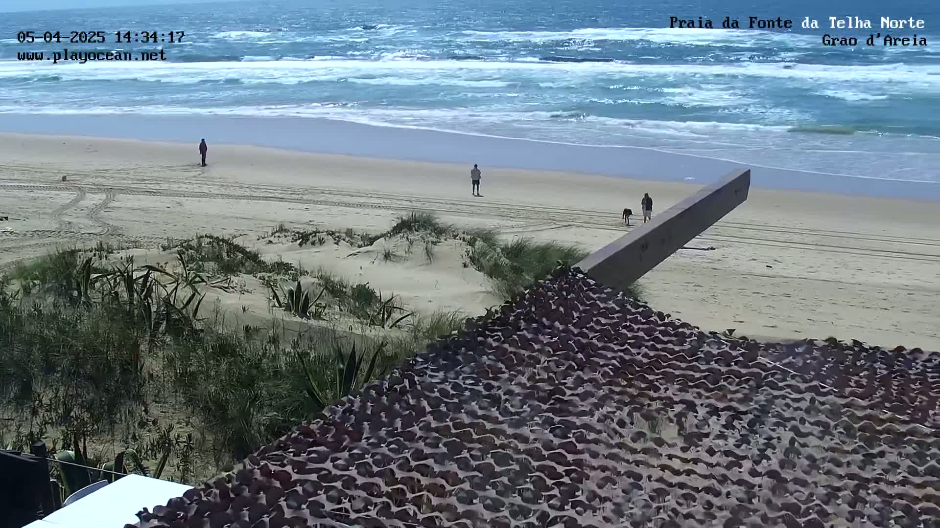 A sandy beach with small waves and a few people walking, viewed from a dune overlooking a textured surface.