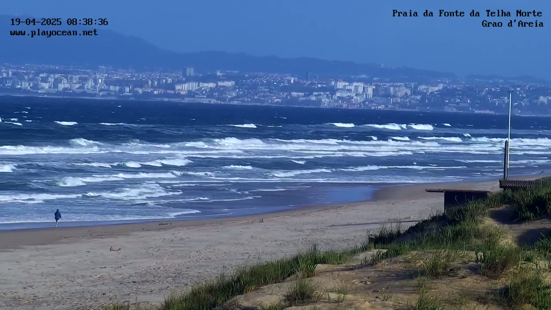 A person walks along a sandy beach with choppy waves and a distant cityscape under a clear sky.
