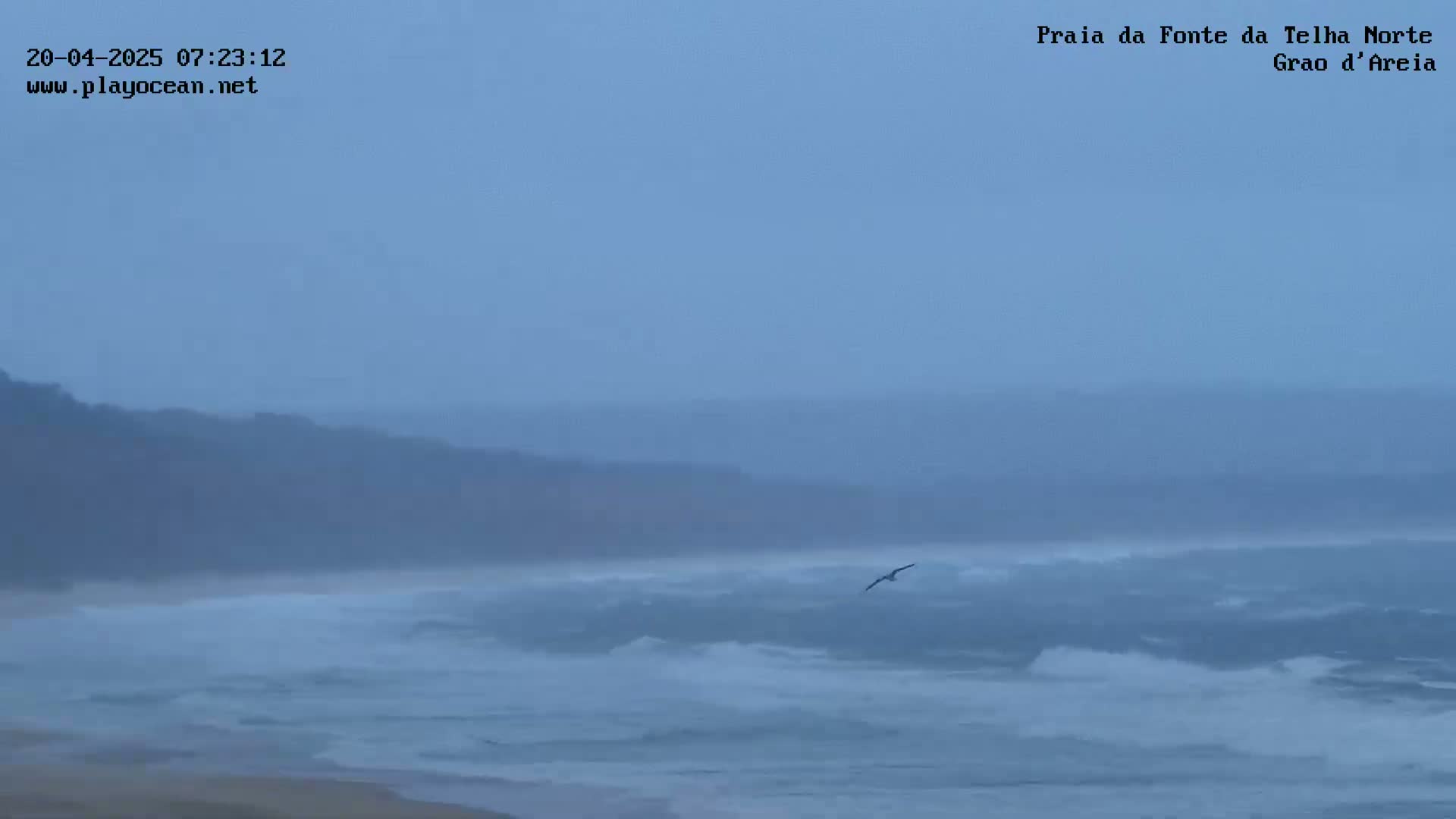 A bird flies over a hazy, overcast ocean with waves breaking near a distant shoreline.