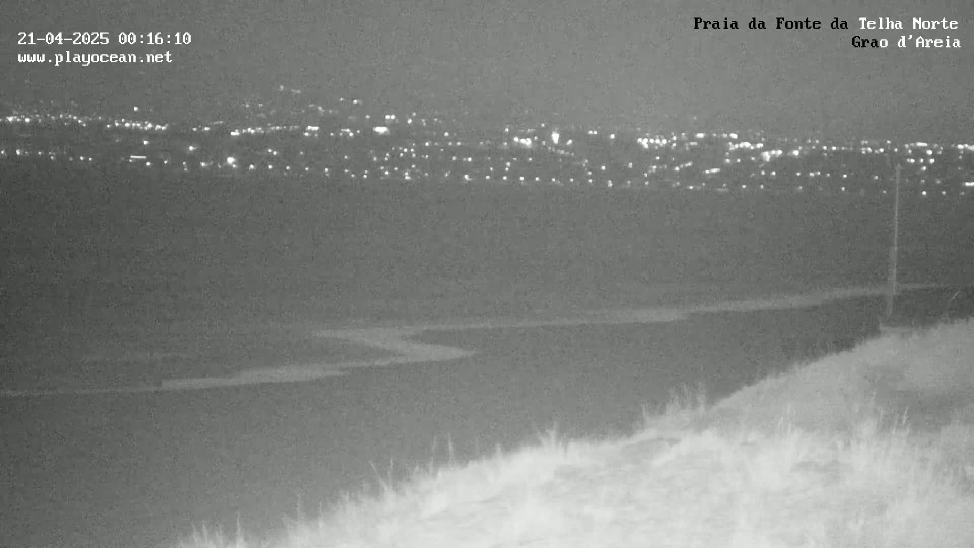 A nighttime, low-light view shows a distant city illuminated with lights across a dark body of water, observed from a high vantage point with vegetation in the foreground.