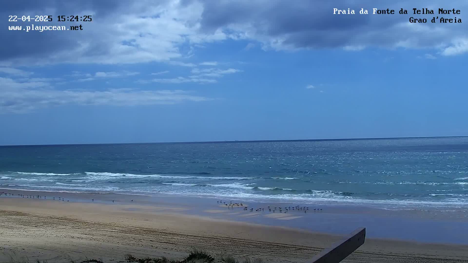 A sandy beach with a few birds on it is visible next to a moderately wavy ocean under a partly cloudy sky.