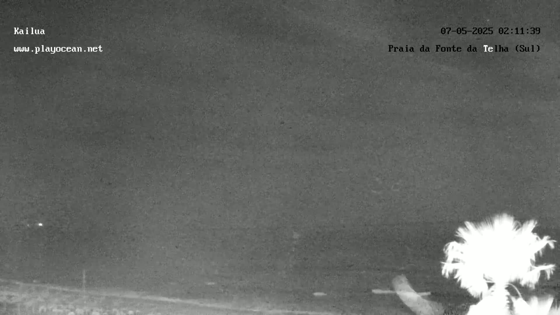 A nighttime, overcast view of a beach with a palm tree in the foreground.