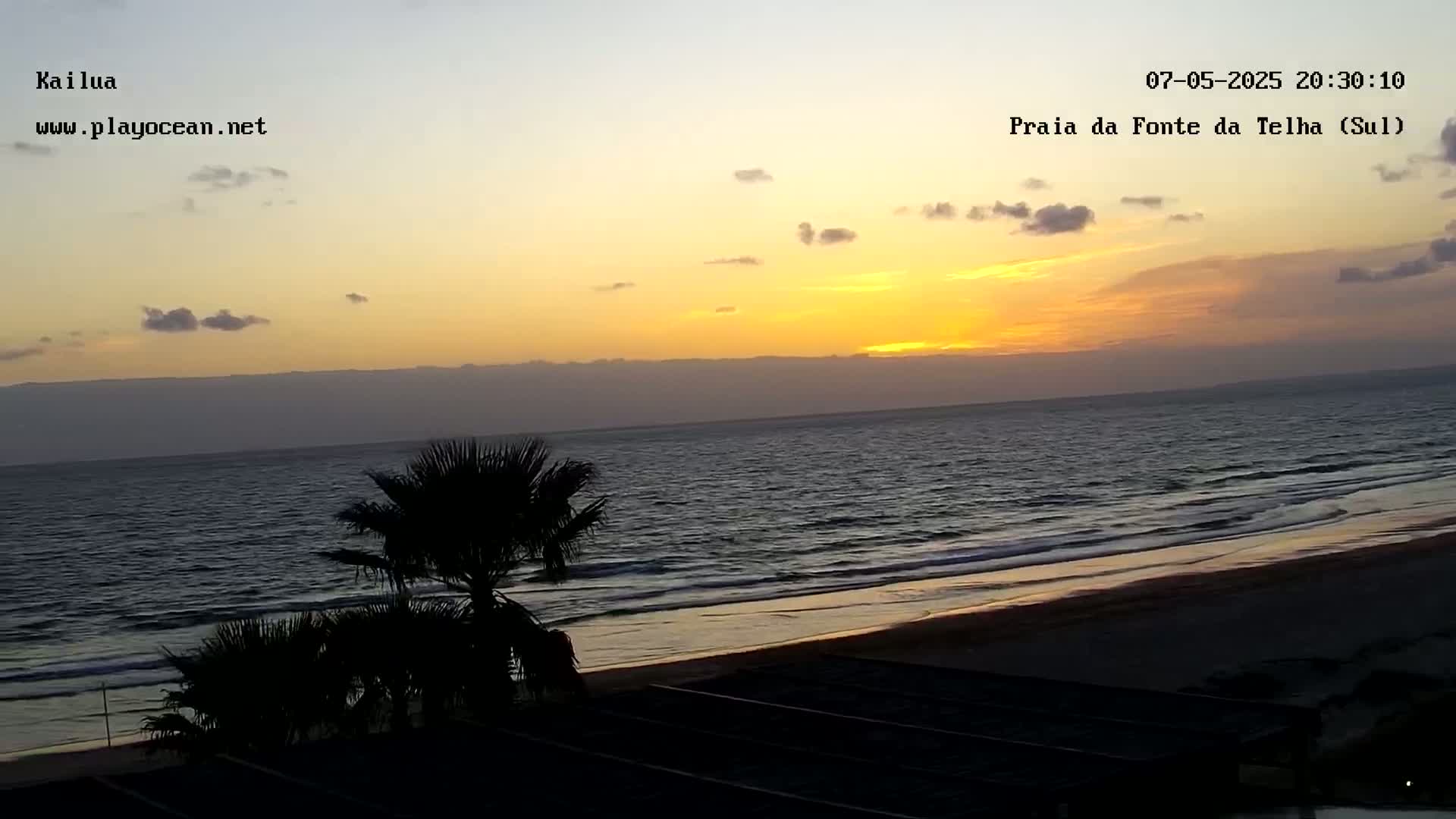 A sunset over a calm ocean, viewed from a beach with palm trees in the foreground.