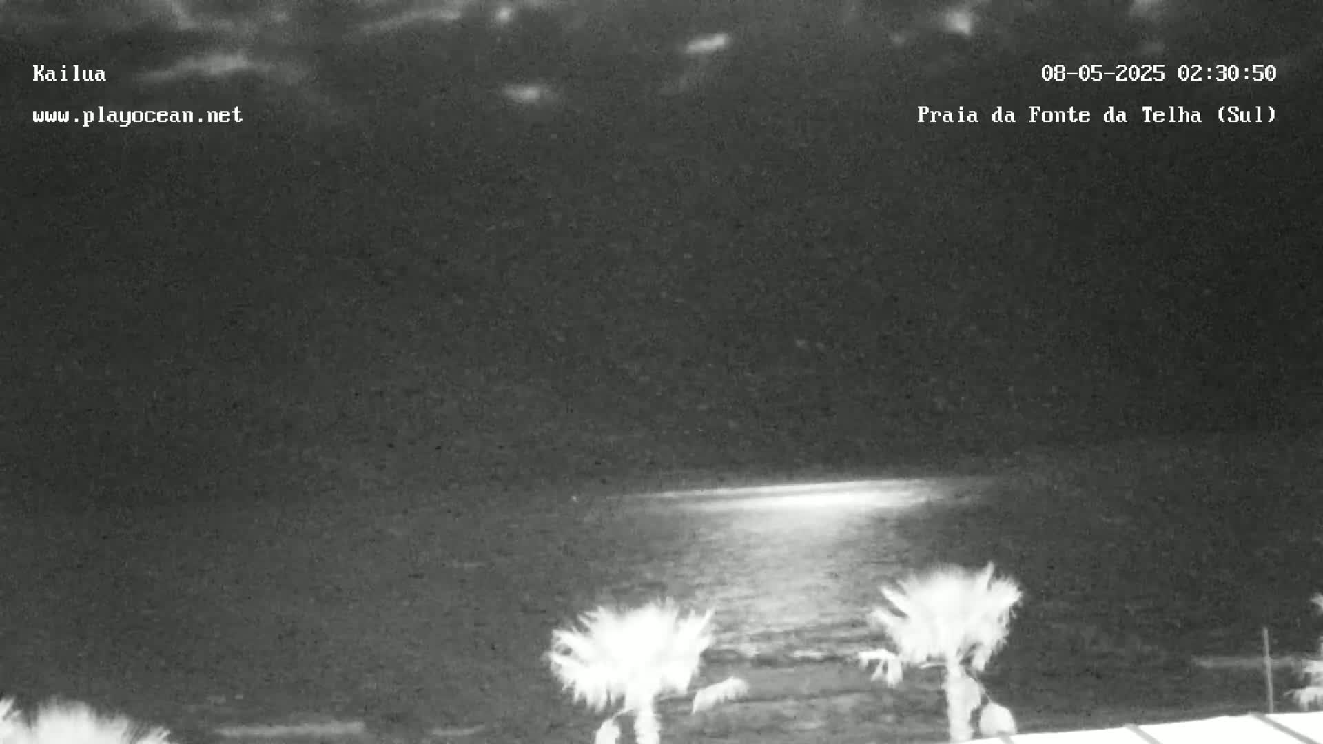 A nighttime, low-light view of a calm ocean reflecting light, with a few palm trees visible in the foreground under a partly cloudy sky.