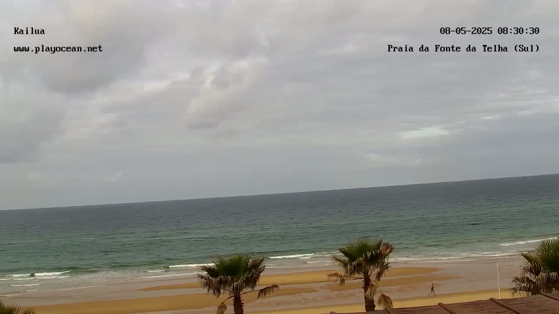 A sandy beach with palm trees and a calm ocean under a mostly cloudy sky is visible.