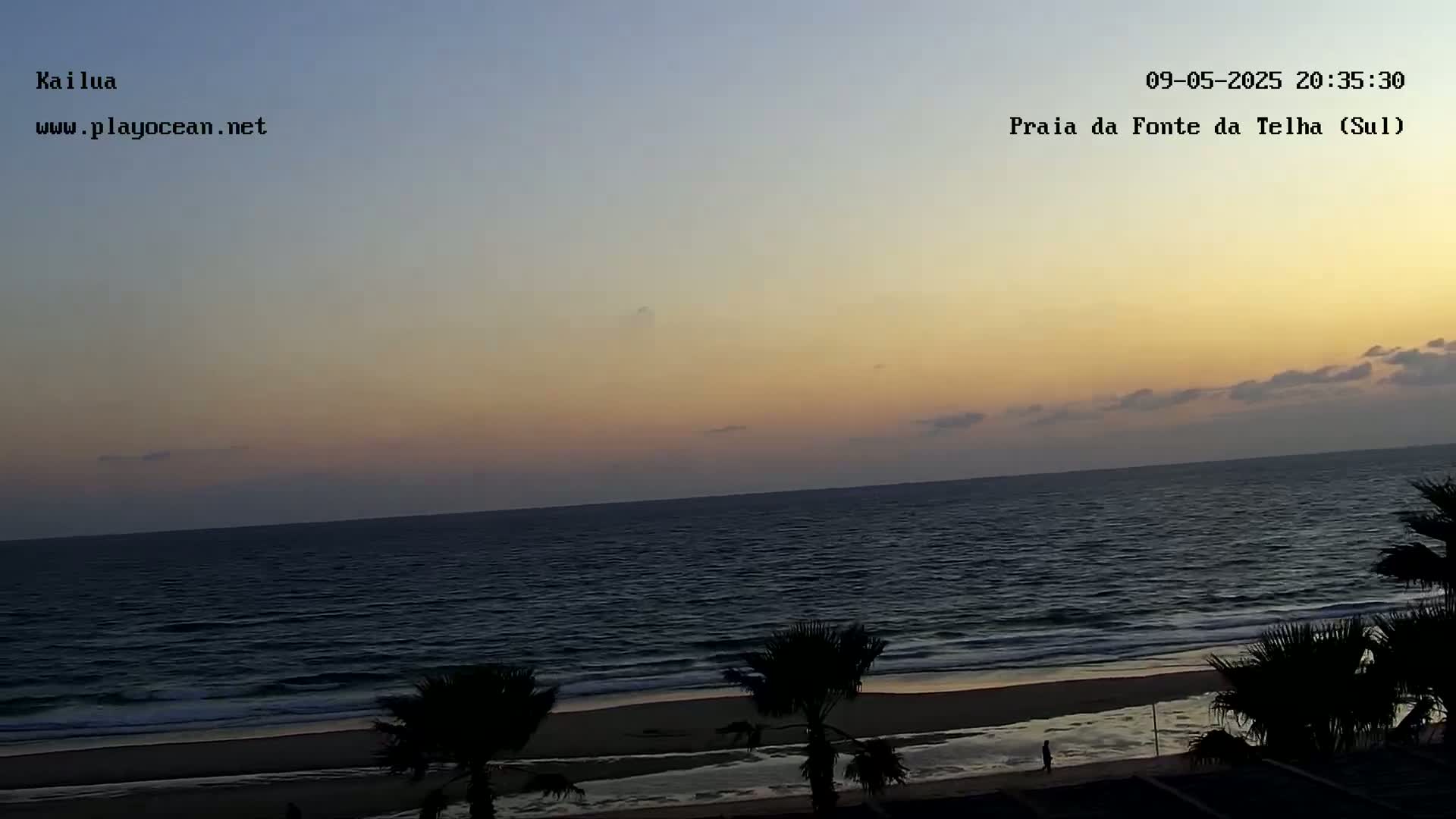 A tranquil ocean scene at sunset shows a calm sea lapping a sandy beach, with palm trees silhouetted in the foreground.