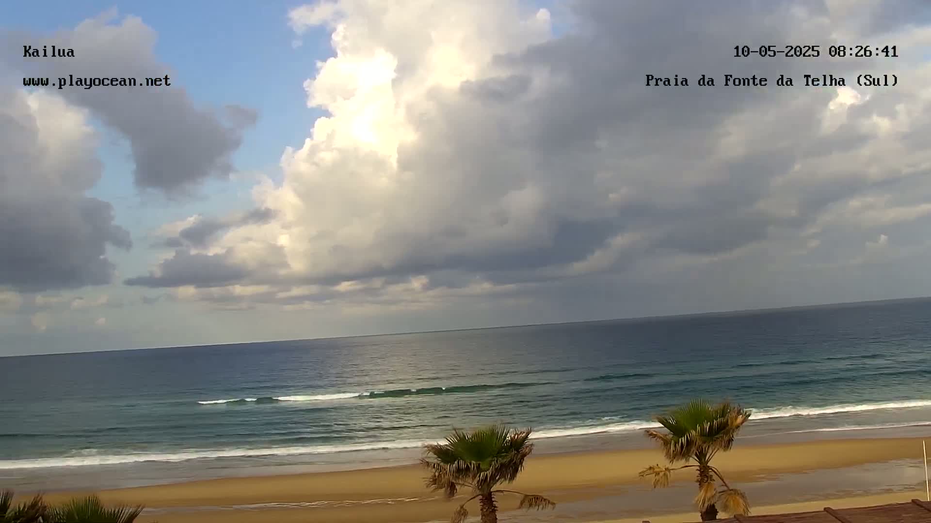 A partly cloudy sky overlooks a calm ocean with small waves lapping a sandy beach where two palm trees stand.