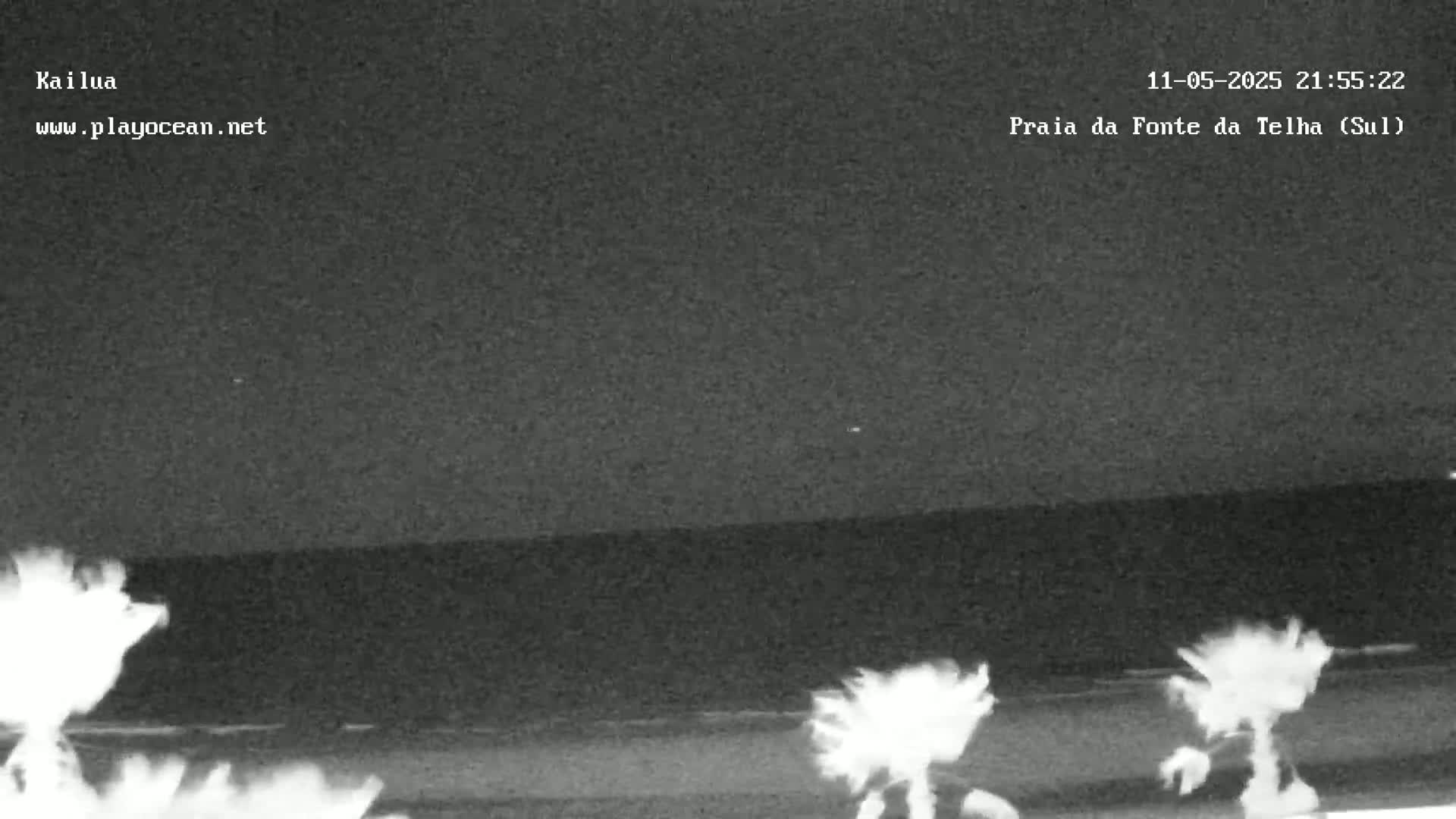 A nighttime, low-light image shows a dark ocean meeting a dark shoreline with indistinct, bright white shapes near the bottom edge.