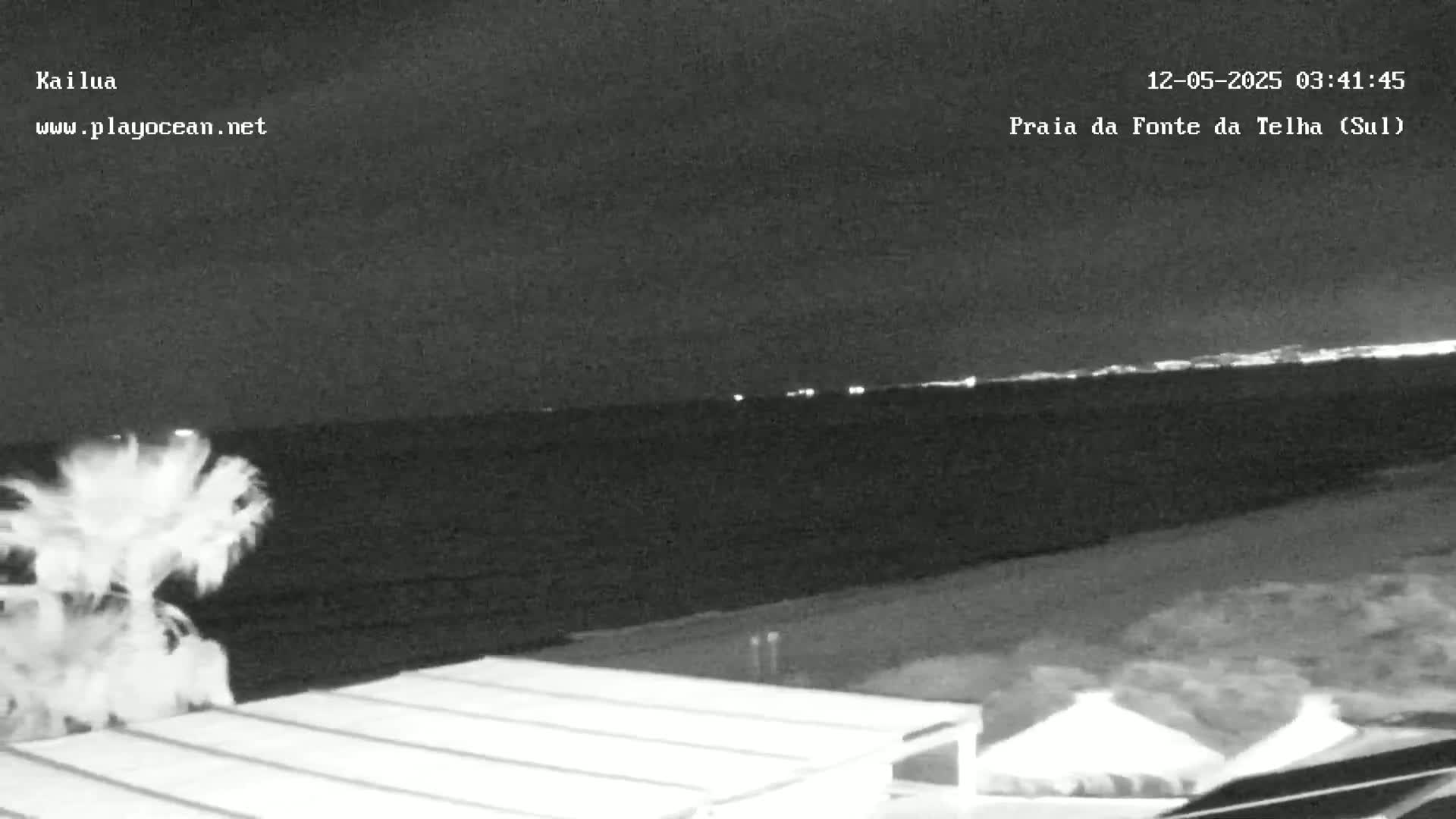 A nighttime view of a dark ocean with a distant, faintly lit coastline, a sandy beach in the foreground, and a palm tree in the lower left corner.