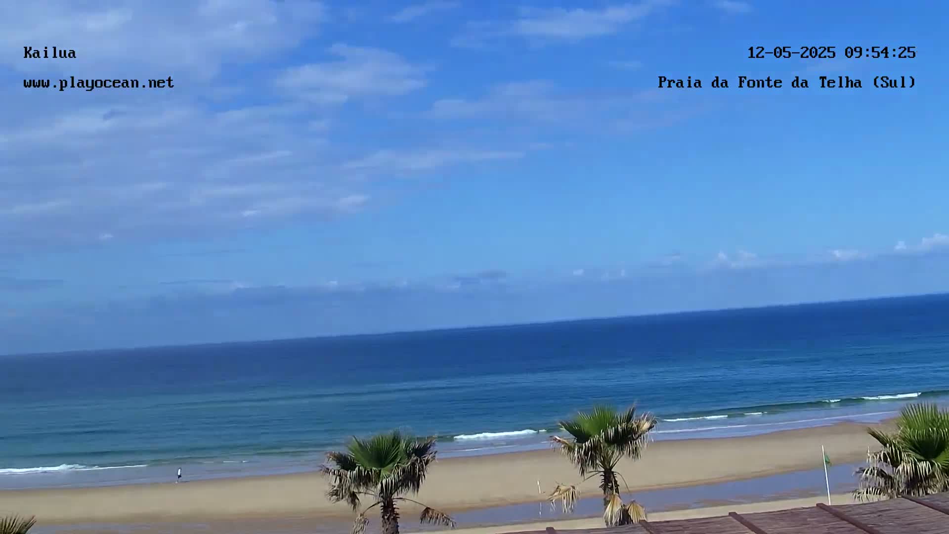 A sandy beach with palm trees stretches along a calm, blue ocean under a mostly clear, sunny sky.