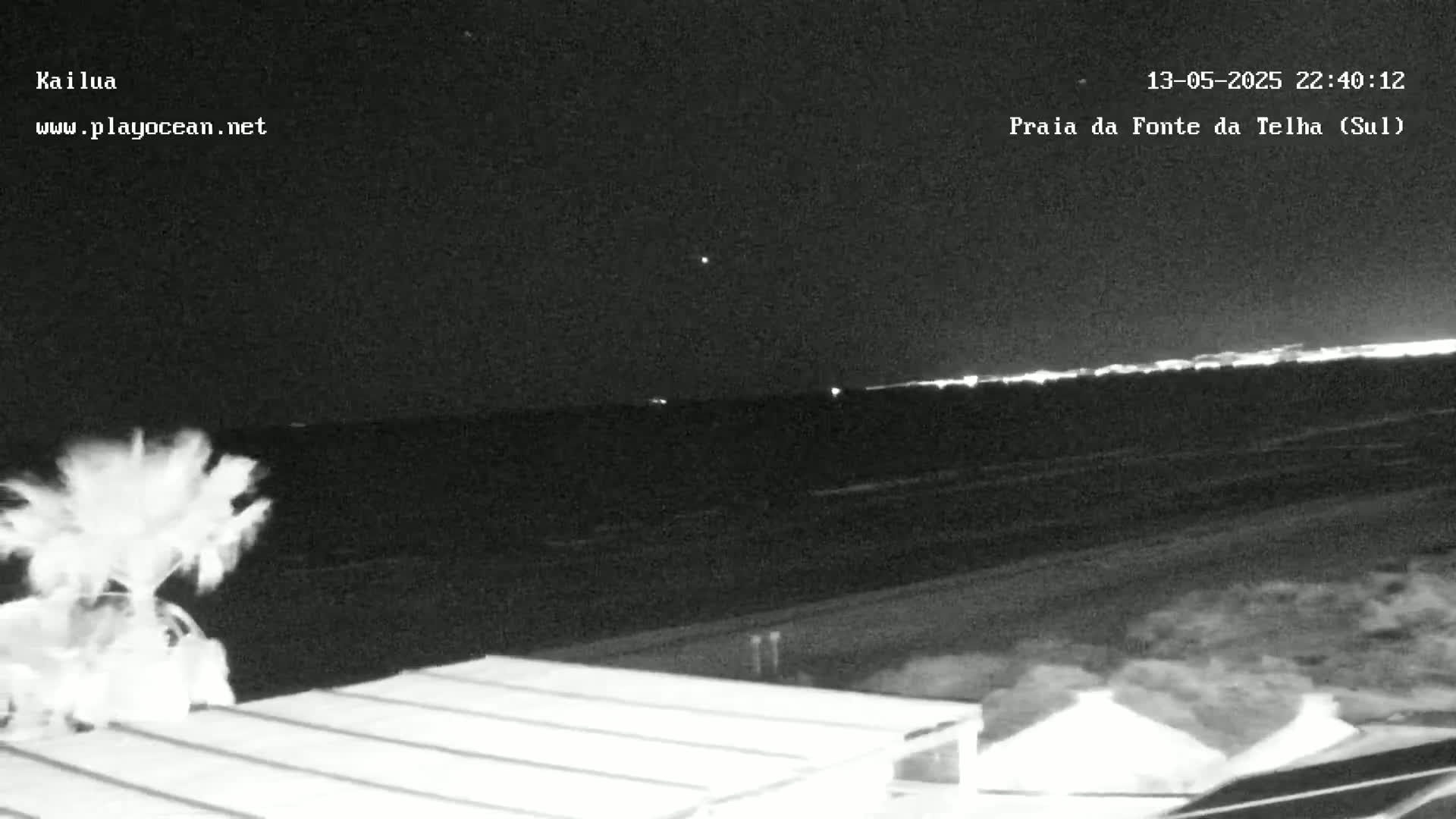 A nighttime view of a dark ocean with a distant line of lights, palm trees swaying in the wind, and a portion of a building in the foreground.