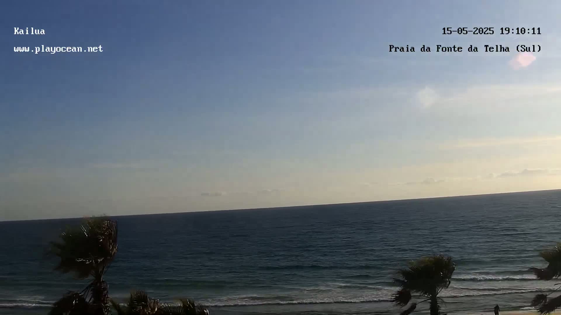 Under a mostly clear sky, palm trees sway near a dark-blue ocean with small waves lapping a sandy shore.