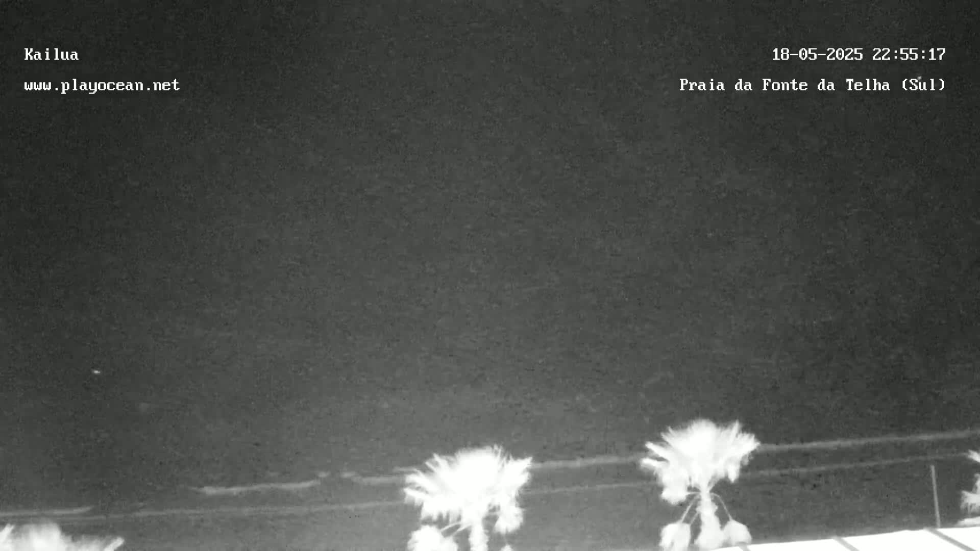 A nighttime, low-light view shows a beach with palm trees in the foreground under a dark, overcast sky.