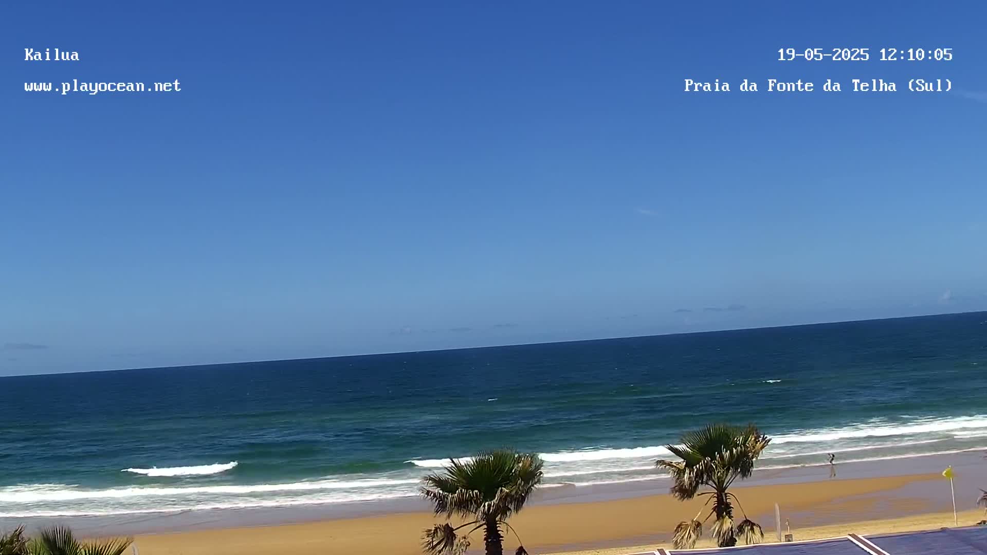 A sandy beach with palm trees and gentle waves under a clear blue sky.